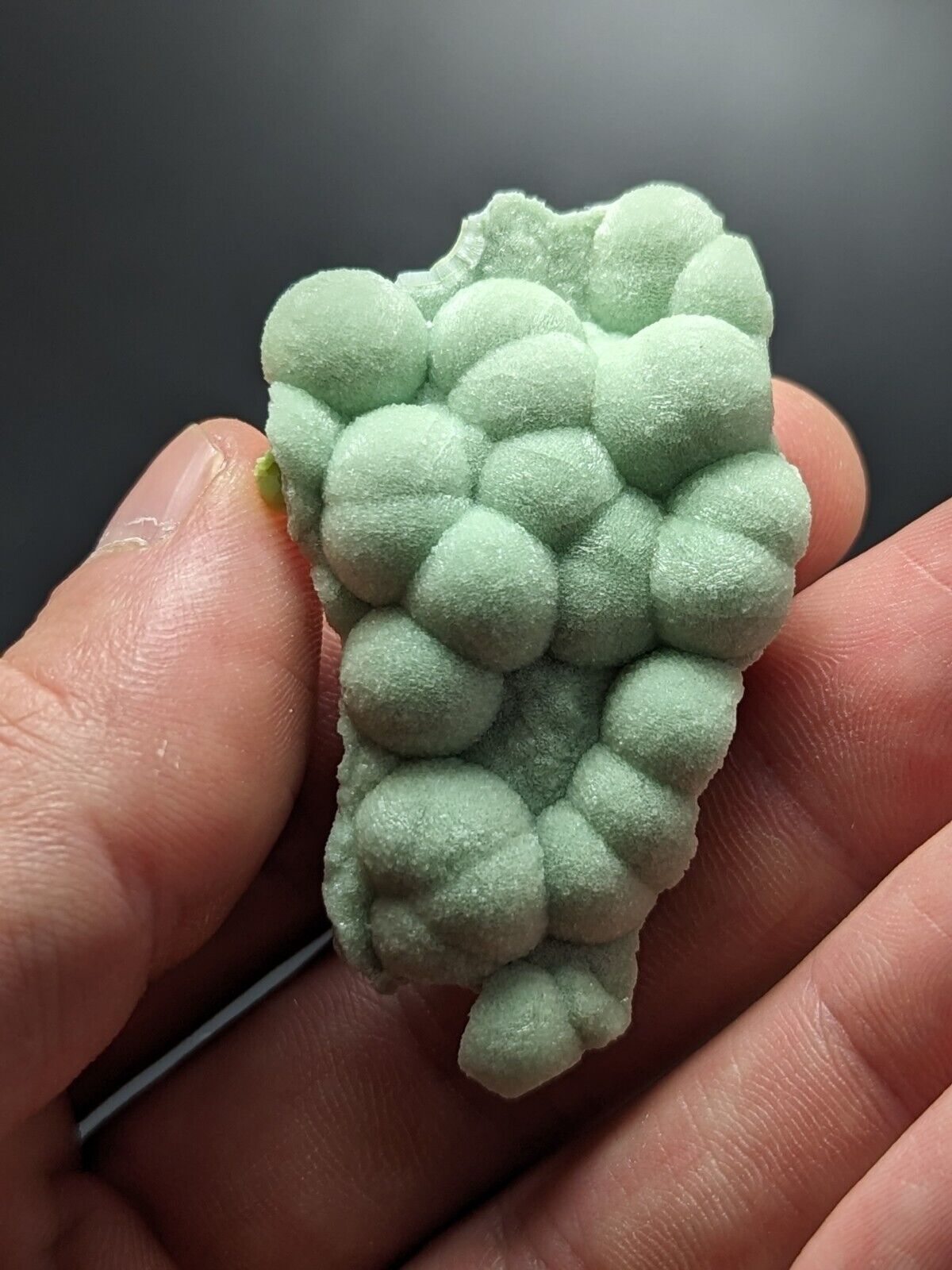 A + Fine Wavellite - Fantastic Old Stock - Mauldin Mountain Arkansas ooak - Collectibles:Rocks Fossils &
