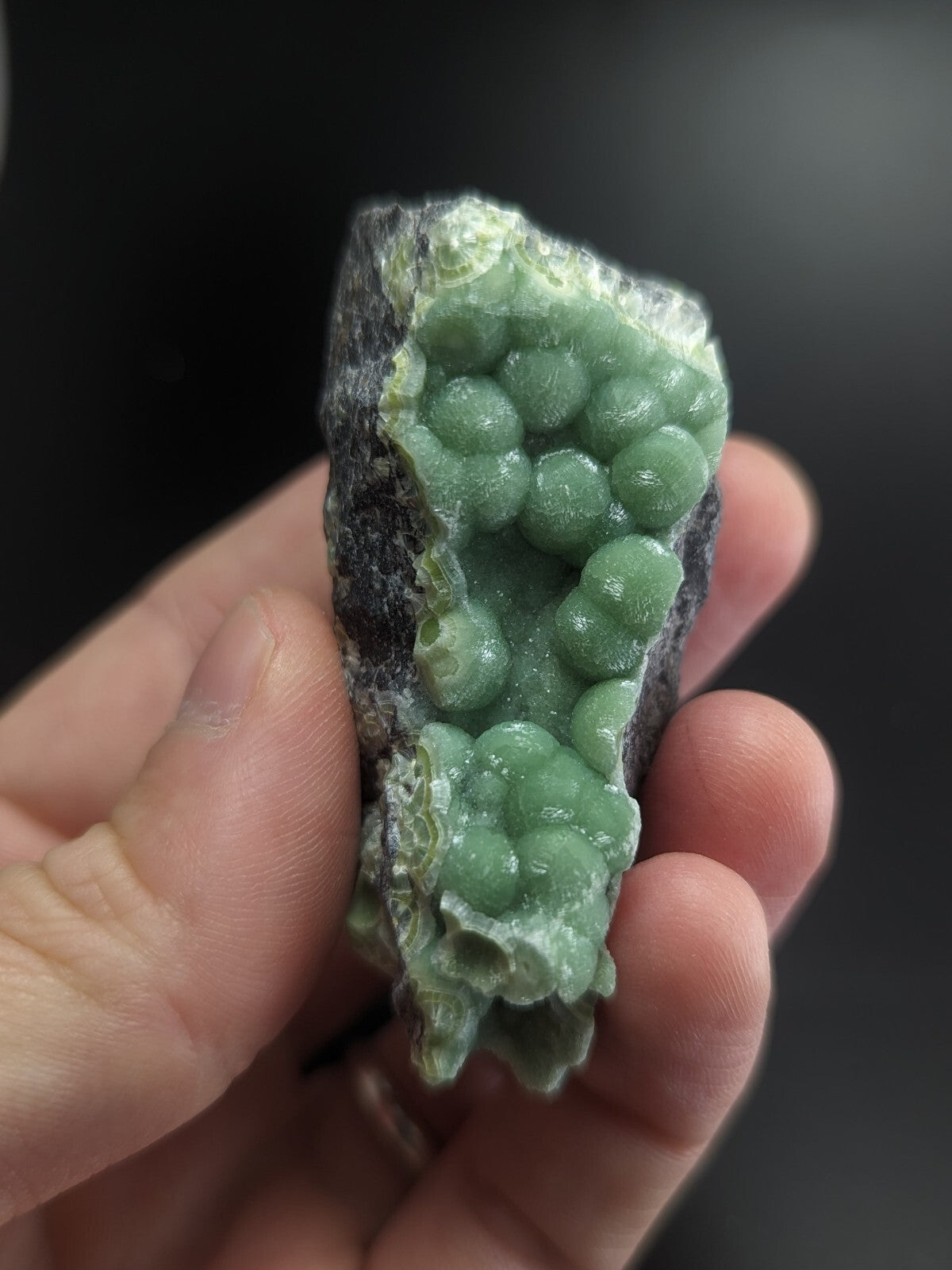 A hand holds a striking green mineral specimen featuring clusters of rounded, translucent crystals growing from a dark rock matrix.