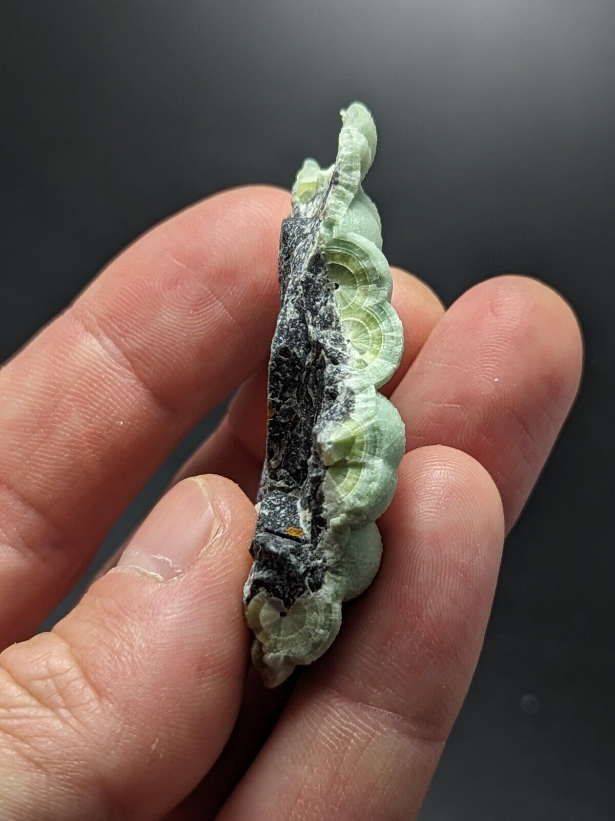 A + Fine Wavellite - Fantastic Old Stock - Mauldin Mountain Arkansas ooak - Collectibles:Rocks Fossils &