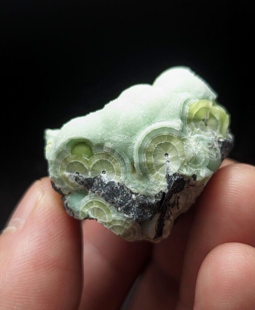 A + + + Fine Wavellite - Fantastic Old Stock - Mauldin Mountain Arkansas ooak - Collectibles:Rocks Fossils &