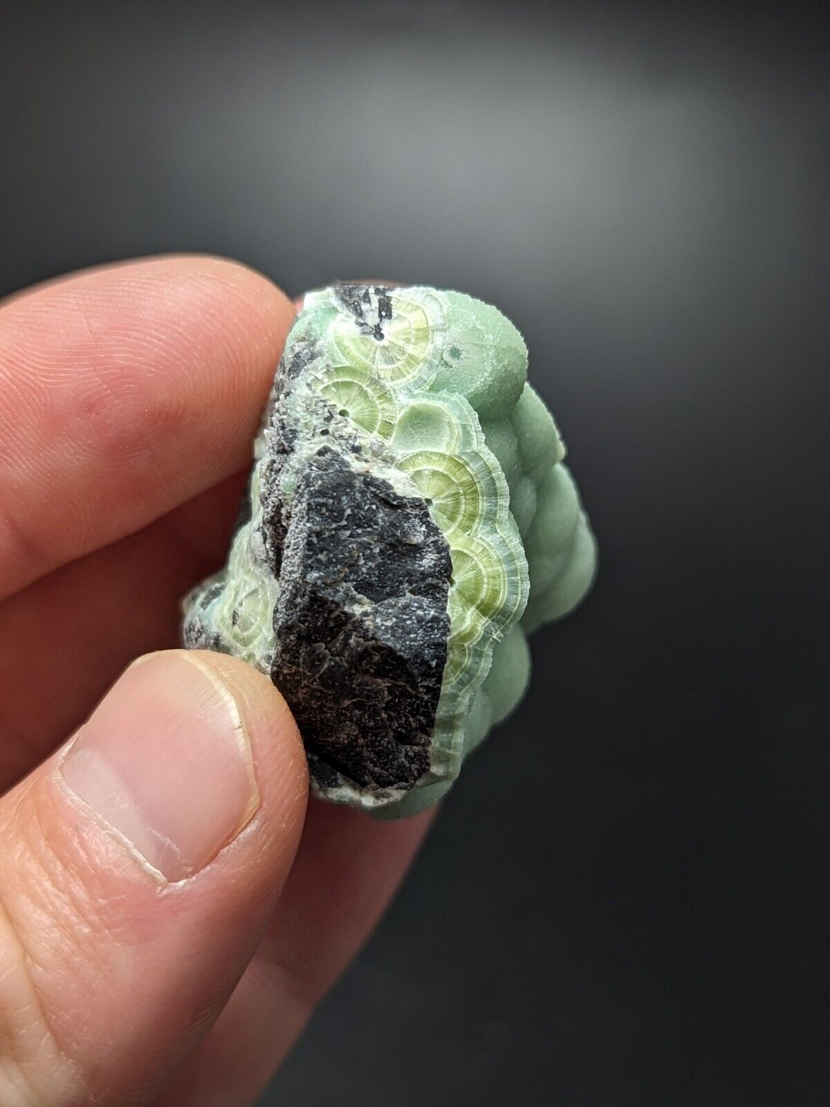 A + + + Fine Wavellite - Fantastic Old Stock - Mauldin Mountain Arkansas ooak - Collectibles:Rocks Fossils &
