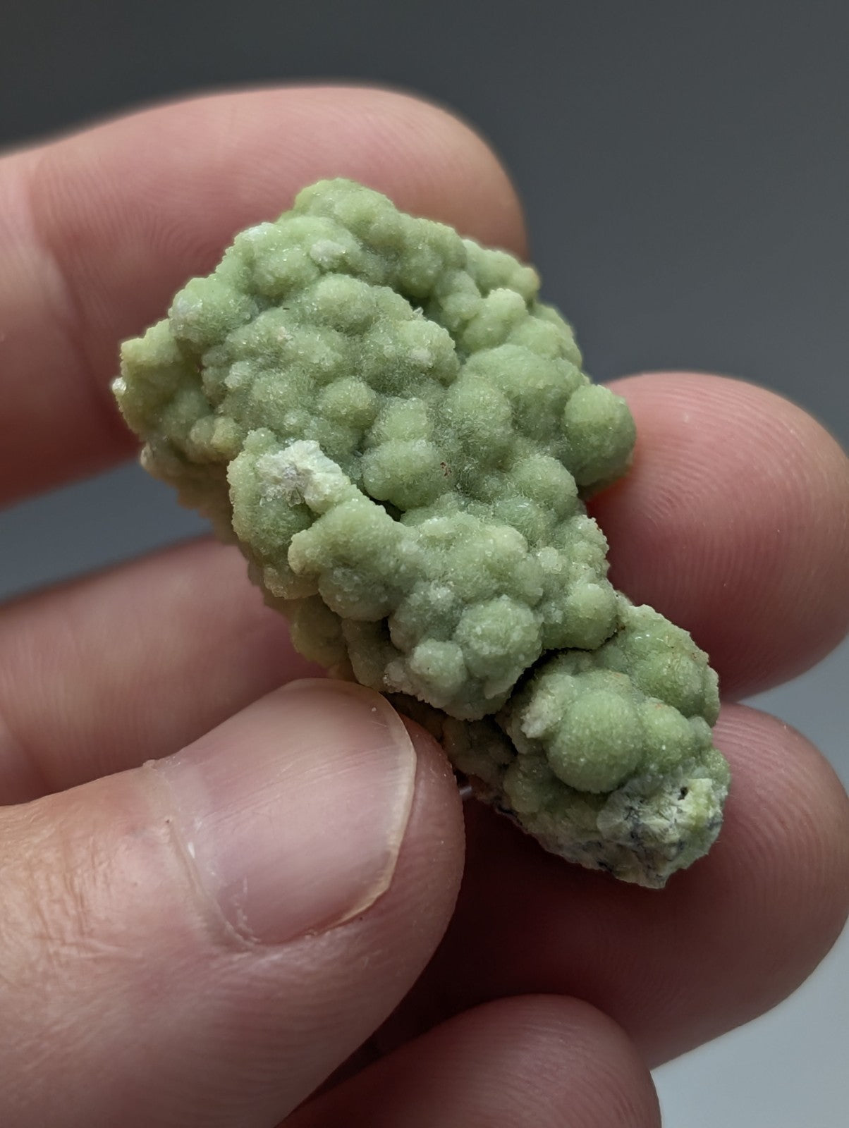A textured light green fluorwavellite mineral specimen intermixed with sio2 held in hand from mauldin mountain arkansas