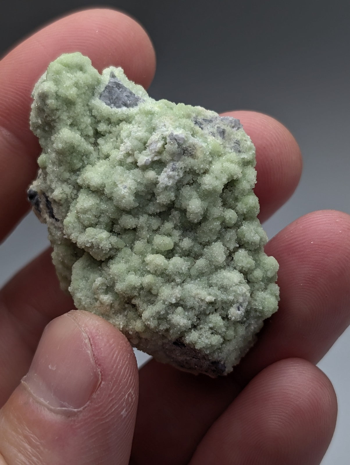 A light green a+ fluorwavellite mineral with rough crystalline texture and gray siO2 patches from mauldin mountain arkansas