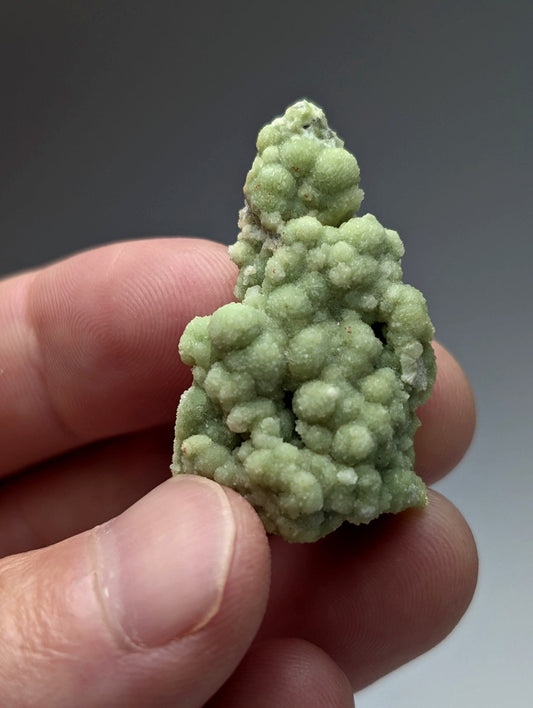 A pale green fluorwavellite mineral specimen with bumpy surface intermixed with SiO2 held in hand from Mauldin Mountain Arkansas