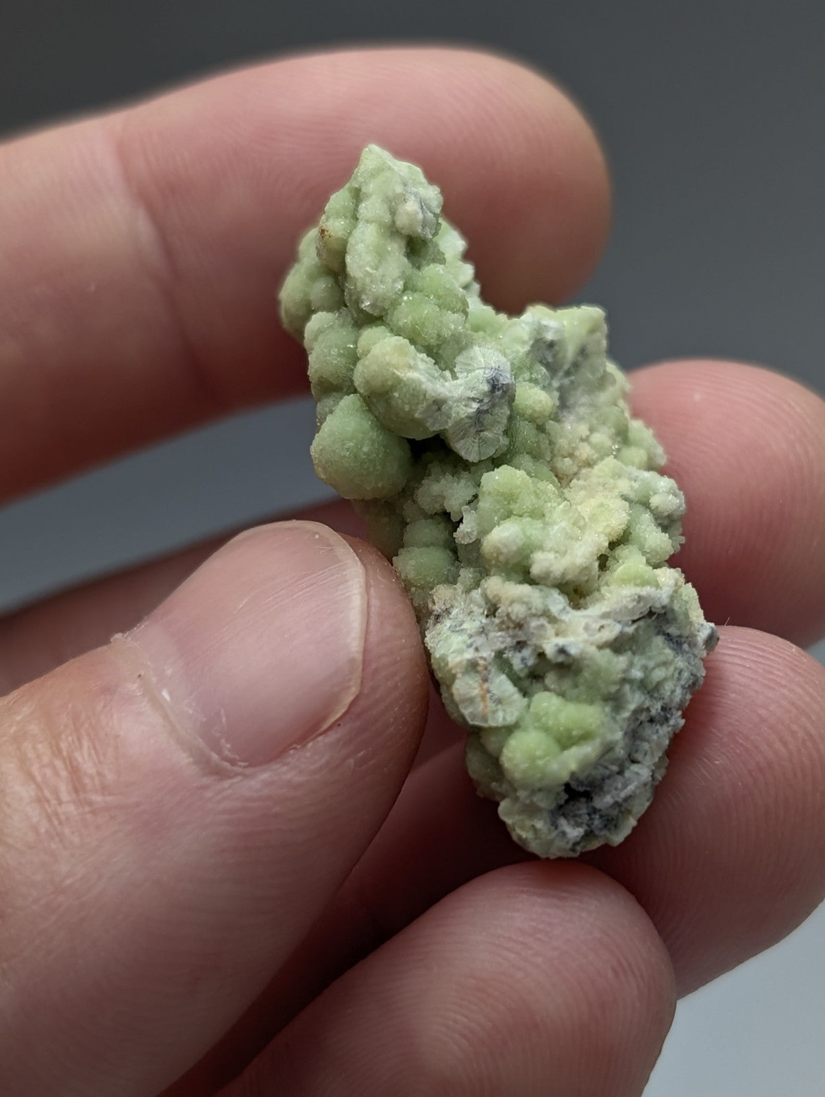A pale green bumpy a plus fluorwavellite mineral with rough clustered texture intermixed with sio2 from mauldin mountain arkansas