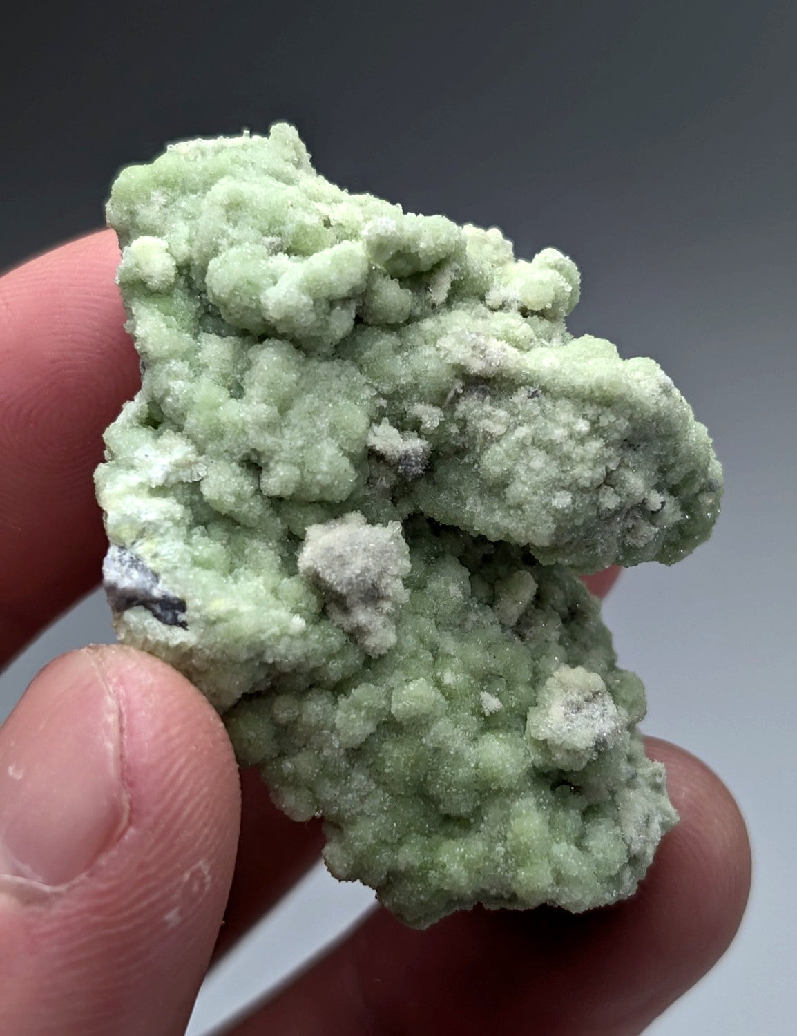 A+ fluorwavellite mineral specimen with pale green crystalline surface and white sio2 patches from mauldin mountain arkansas