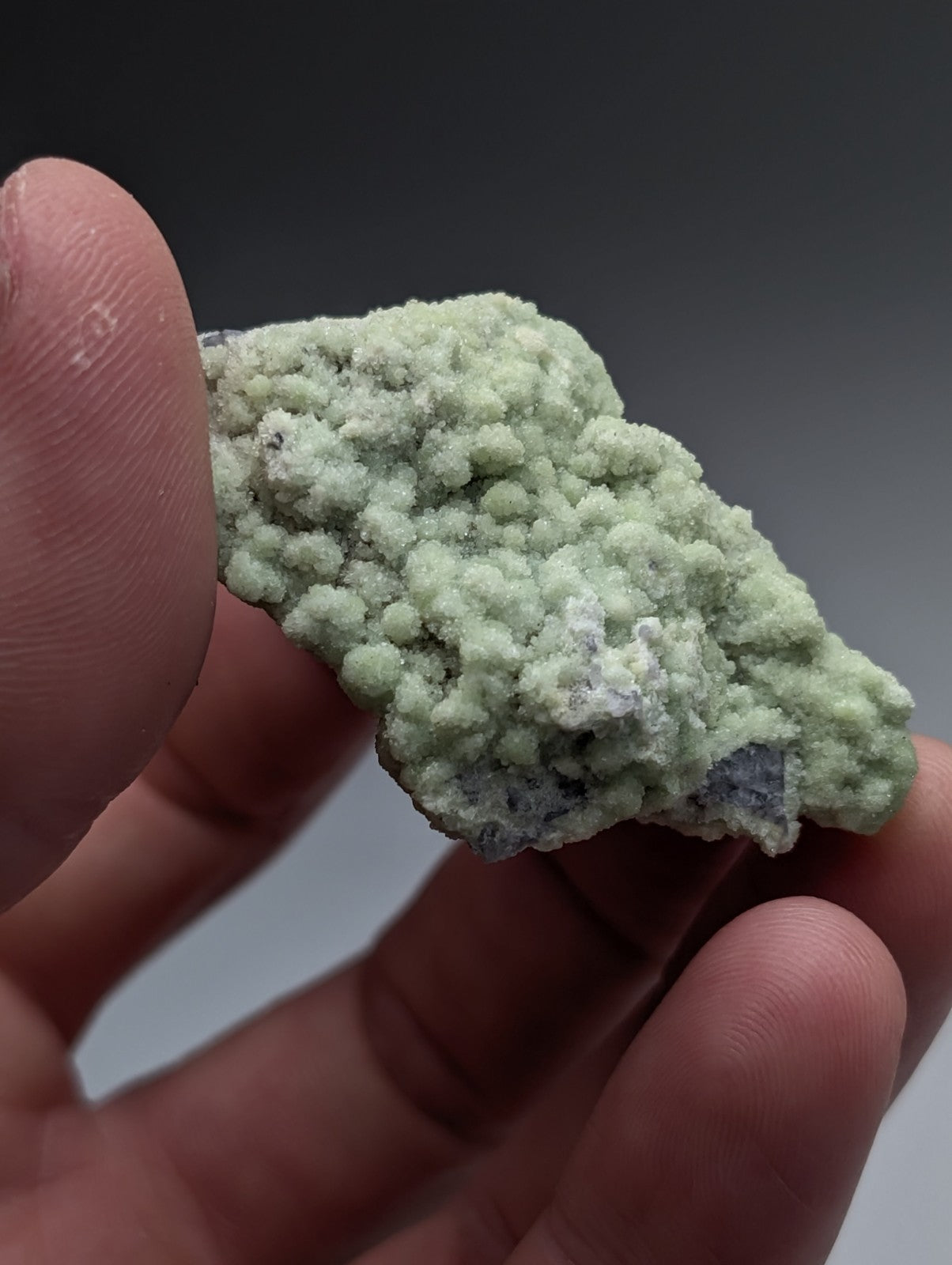 A pale green textured fluorwavellite mineral with white crystalline siO2 patches from Mauldin Mountain Arkansas