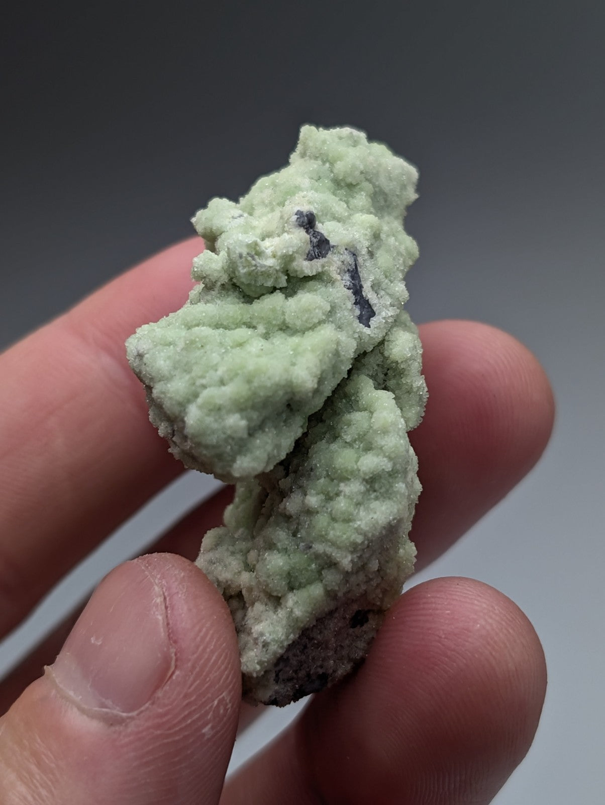 A pale green A plus Fluorwavellite mineral with rough crystalline surface intermixed with SiO2 from Arkansas