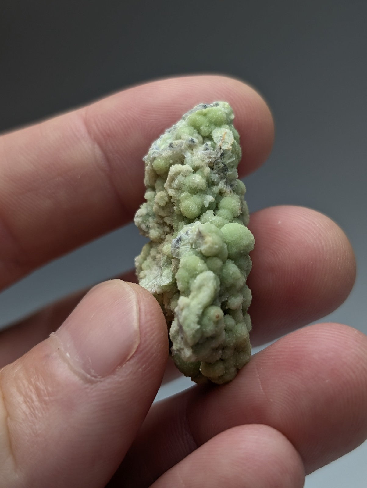 A pale green A+ fluorwavellite mineral specimen with bumpy texture intermixed with SiO2 held between fingers from Mauldin Mountain Arkansas