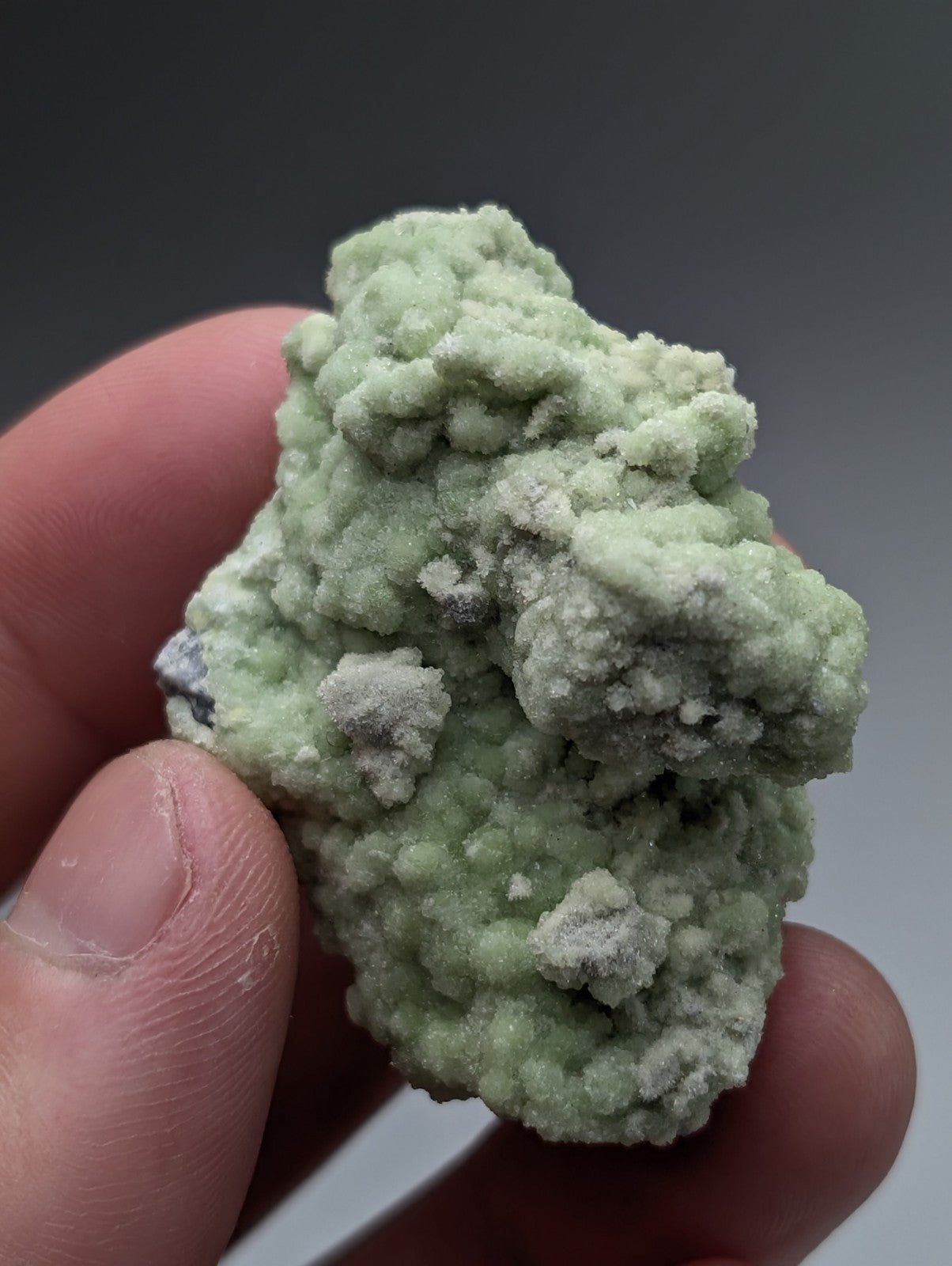 A pale green textured fluorwavellite mineral with crystalline surface intermixed with sio2 held in hand from mauldin mountain arkansas