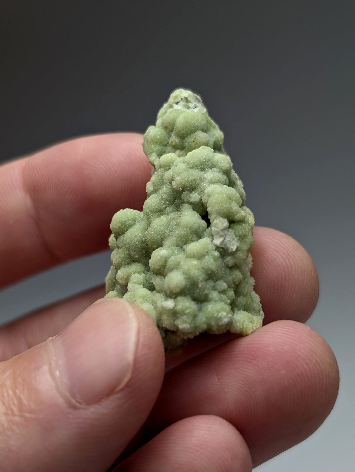 A delicate light green A+ fluorwavellite mineral with textured bumps and crystalline formations intermixed with SiO2 from Mauldin Mountain Arkansas