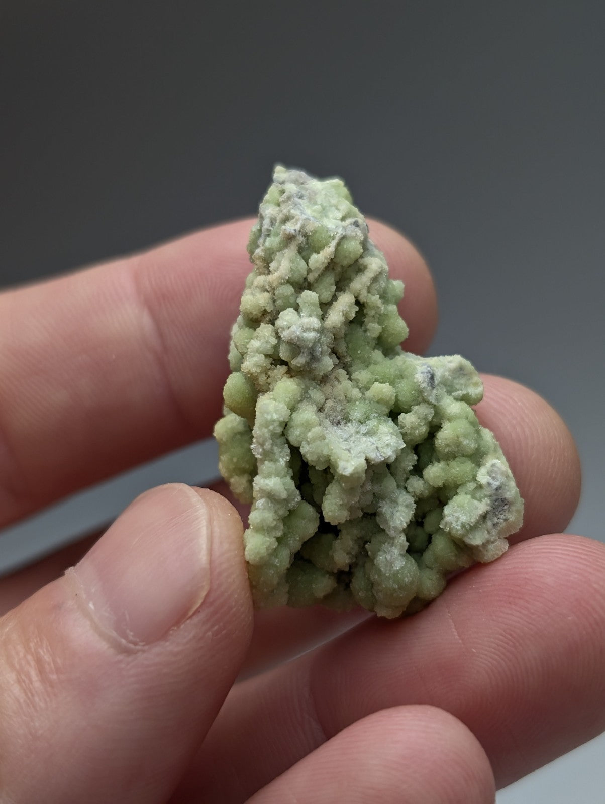 A pale green textured fluorwavellite mineral with crystalline bumpy surface intermixed with sio2 from mauldin mountain arkansas