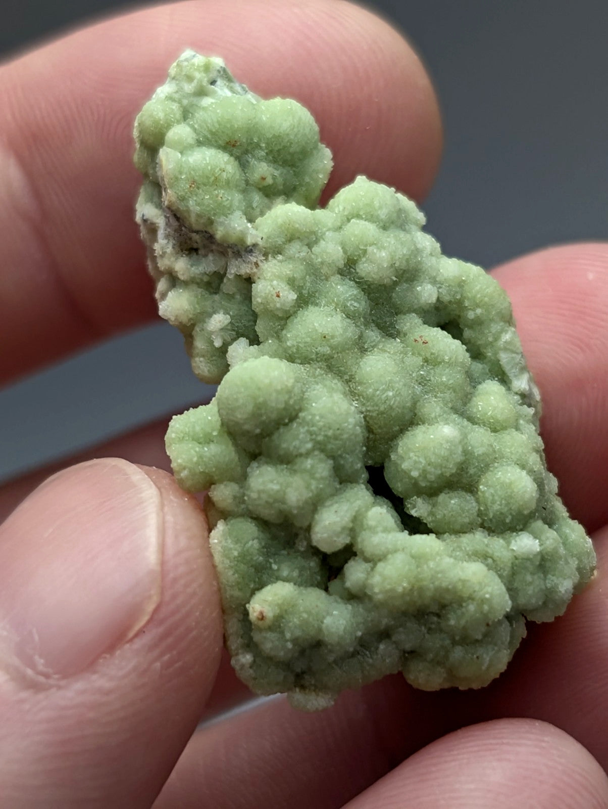 A pale green bumpy fluorwavellite mineral specimen with crystalline texture intermixed with sio2 from mauldin mountain arkansas