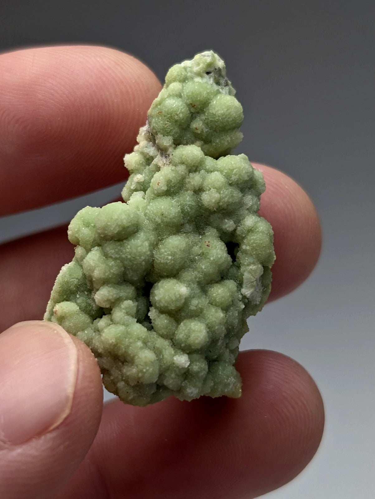 A pale green bumpy fluorwavellite mineral specimen intermixed with SiO2 from Mauldin Mountain Arkansas
