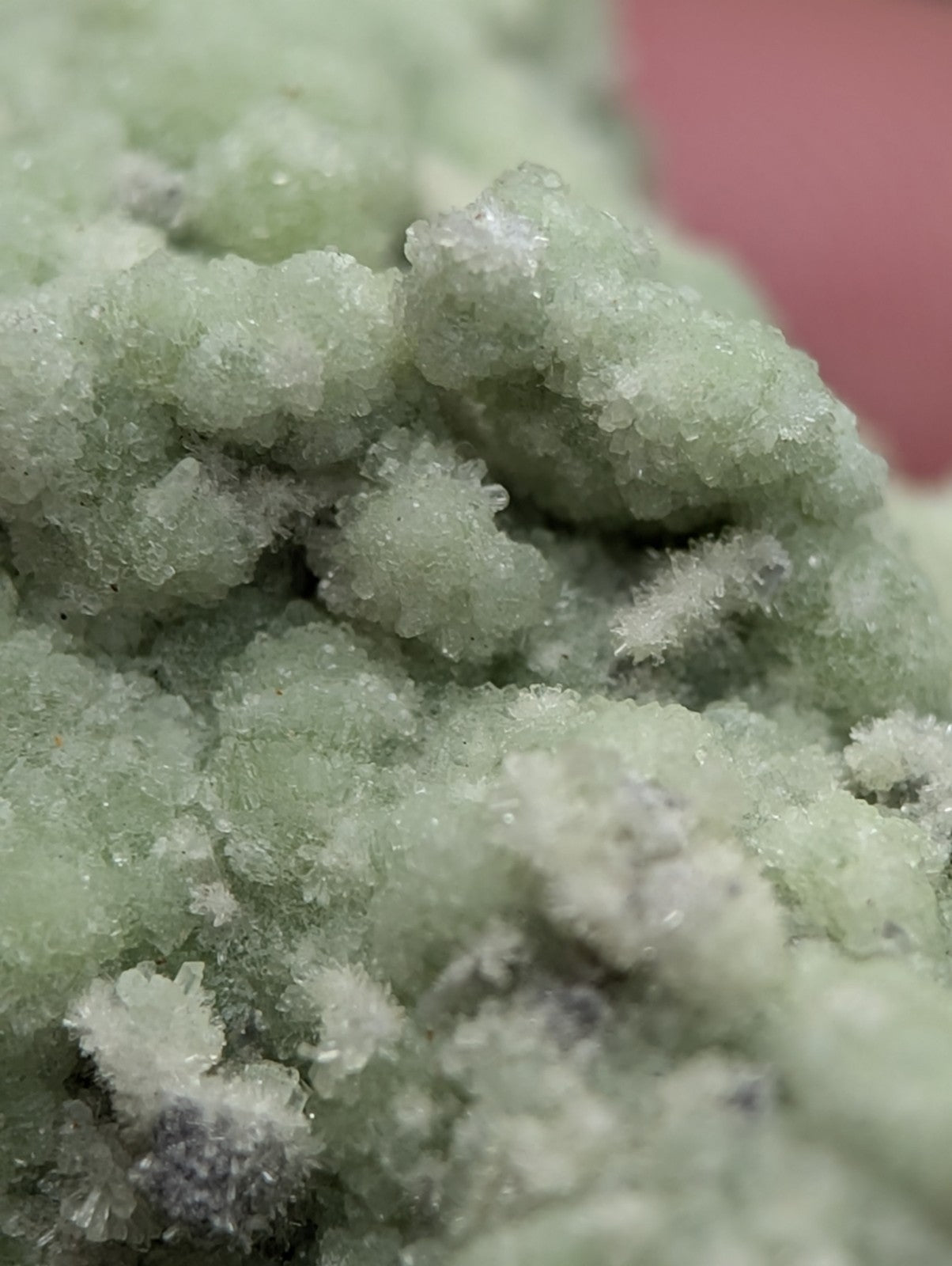A cluster of pale green a+ fluorwavellite crystals intermixed with sio2 with a frosty texture from mauldin mountain arkansas