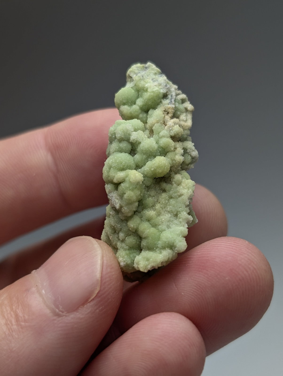 A pale green fluorwavellite mineral specimen with rounded nodules intermixed with SiO2 from Mauldin Mountain Arkansas