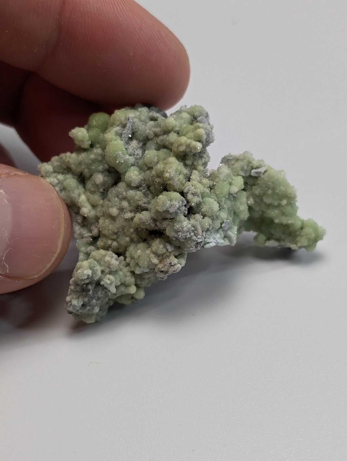 A pale green, textured mineral specimen with a crystalline, bumpy surface.