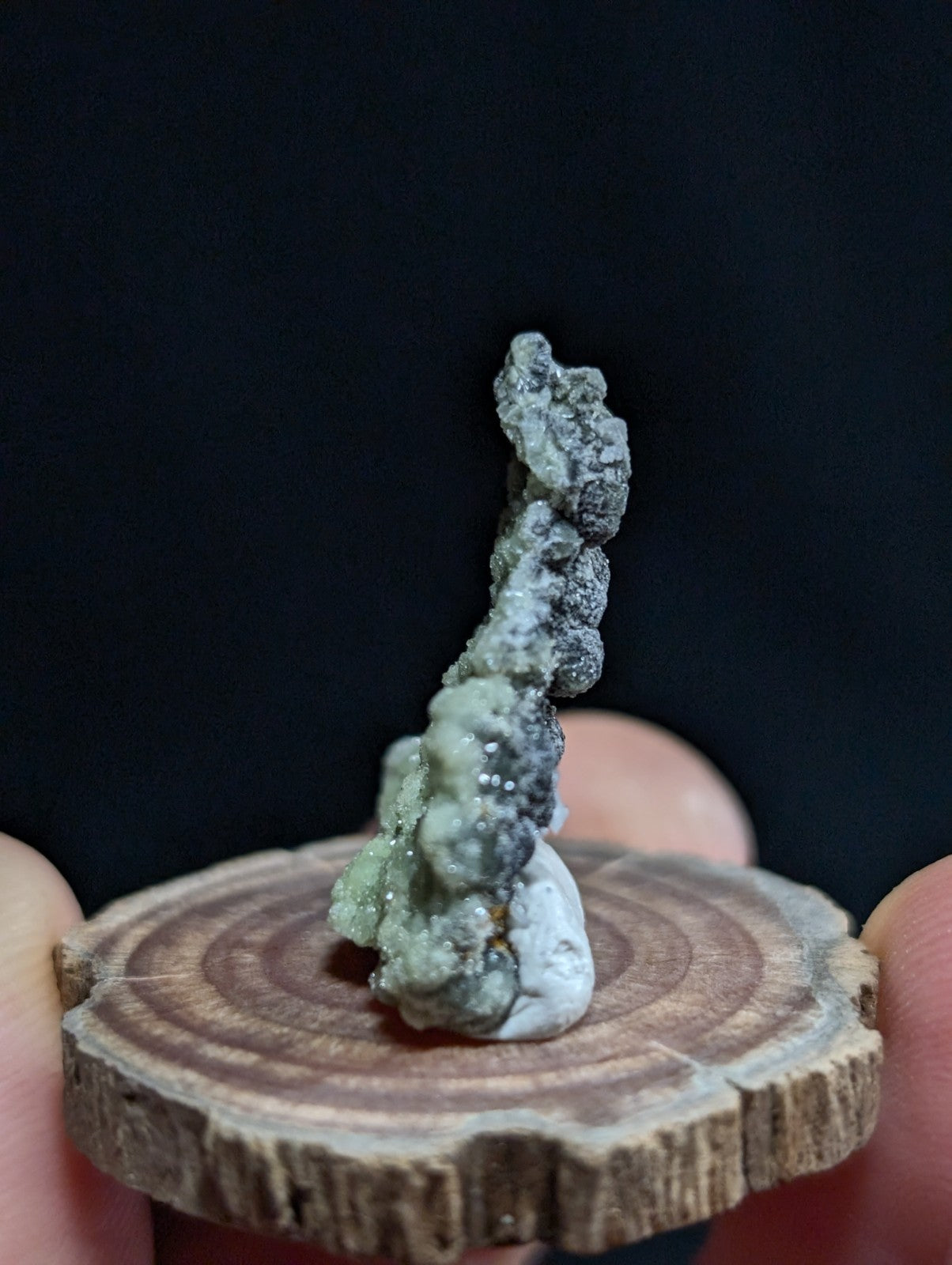 A textured, grayish-green mineral specimen with a rough, crystalline surface stands upright on a circular wooden slice.