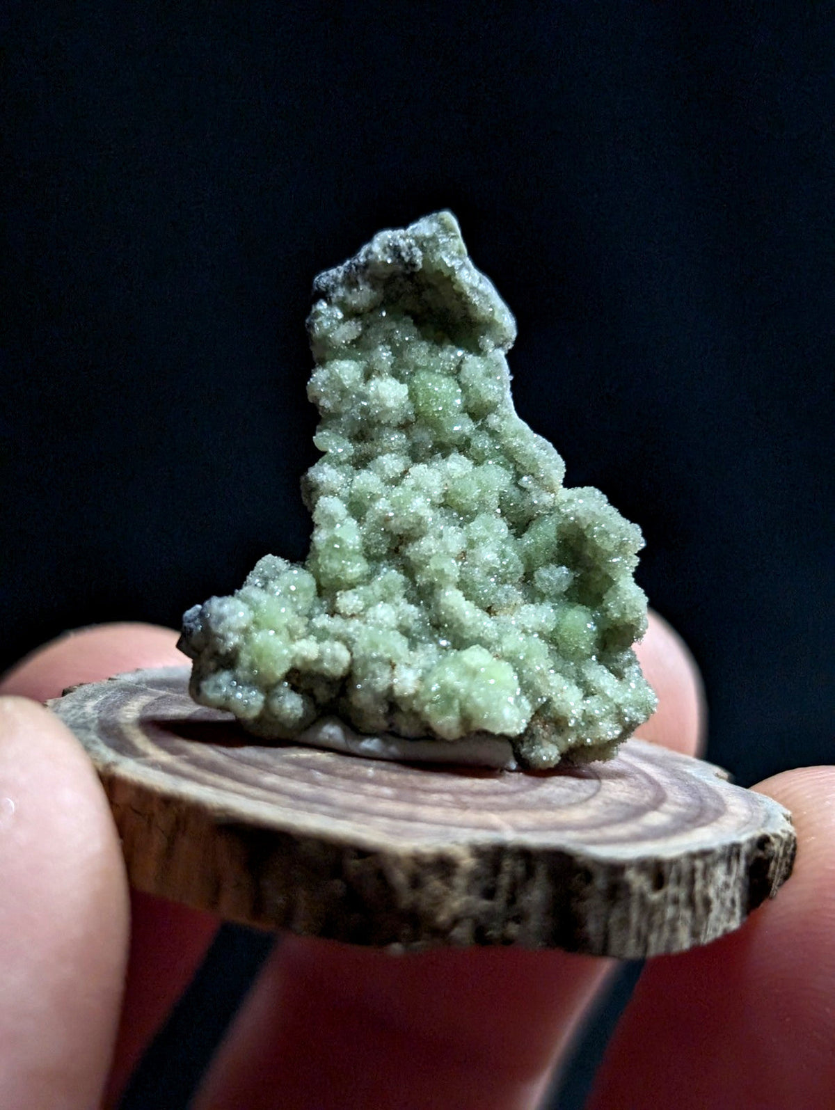A textured, light green mineral specimen with a crystalline, bumpy surface and darker grayish patches at its base.