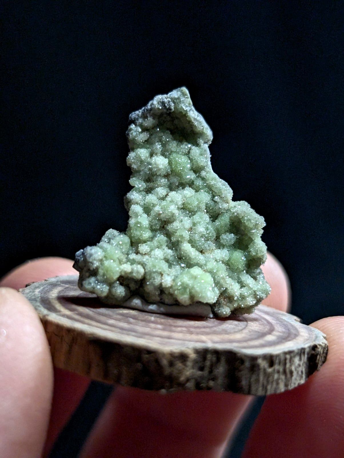 A textured, light green mineral specimen with a crystalline, bumpy surface and darker grayish patches at its base.