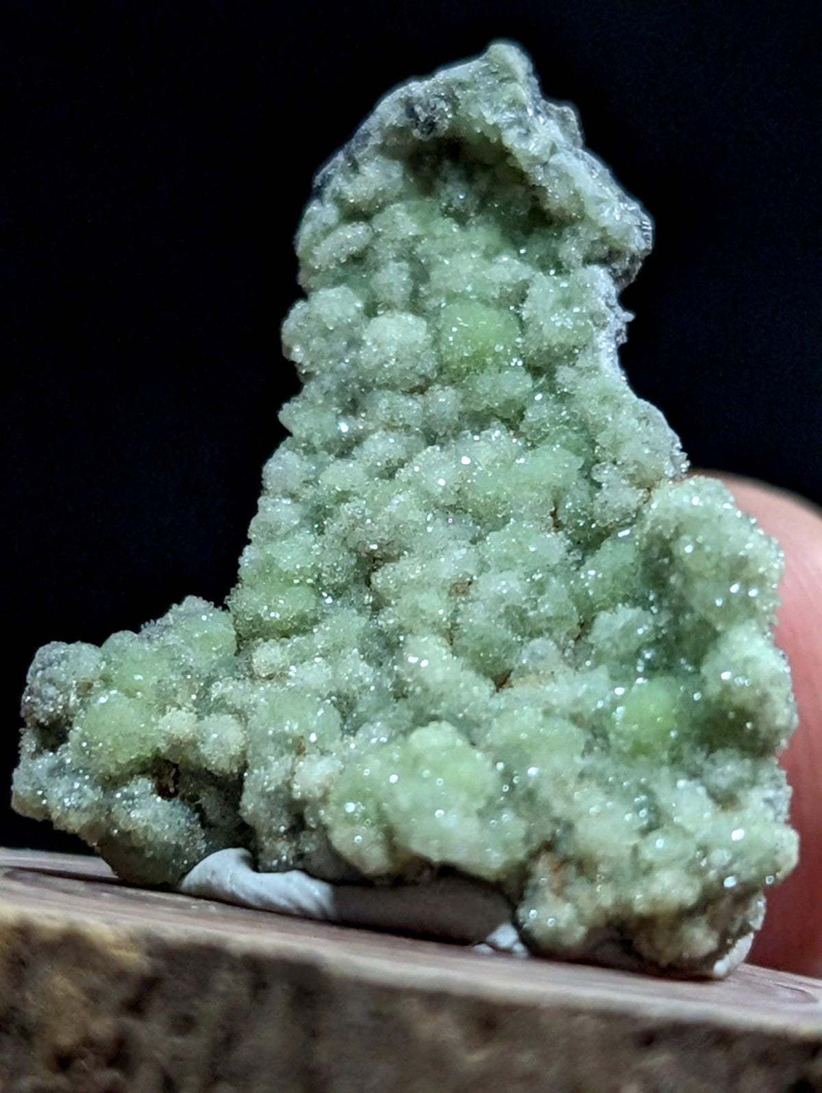 A textured, light green mineral specimen with a crystalline, bumpy surface.