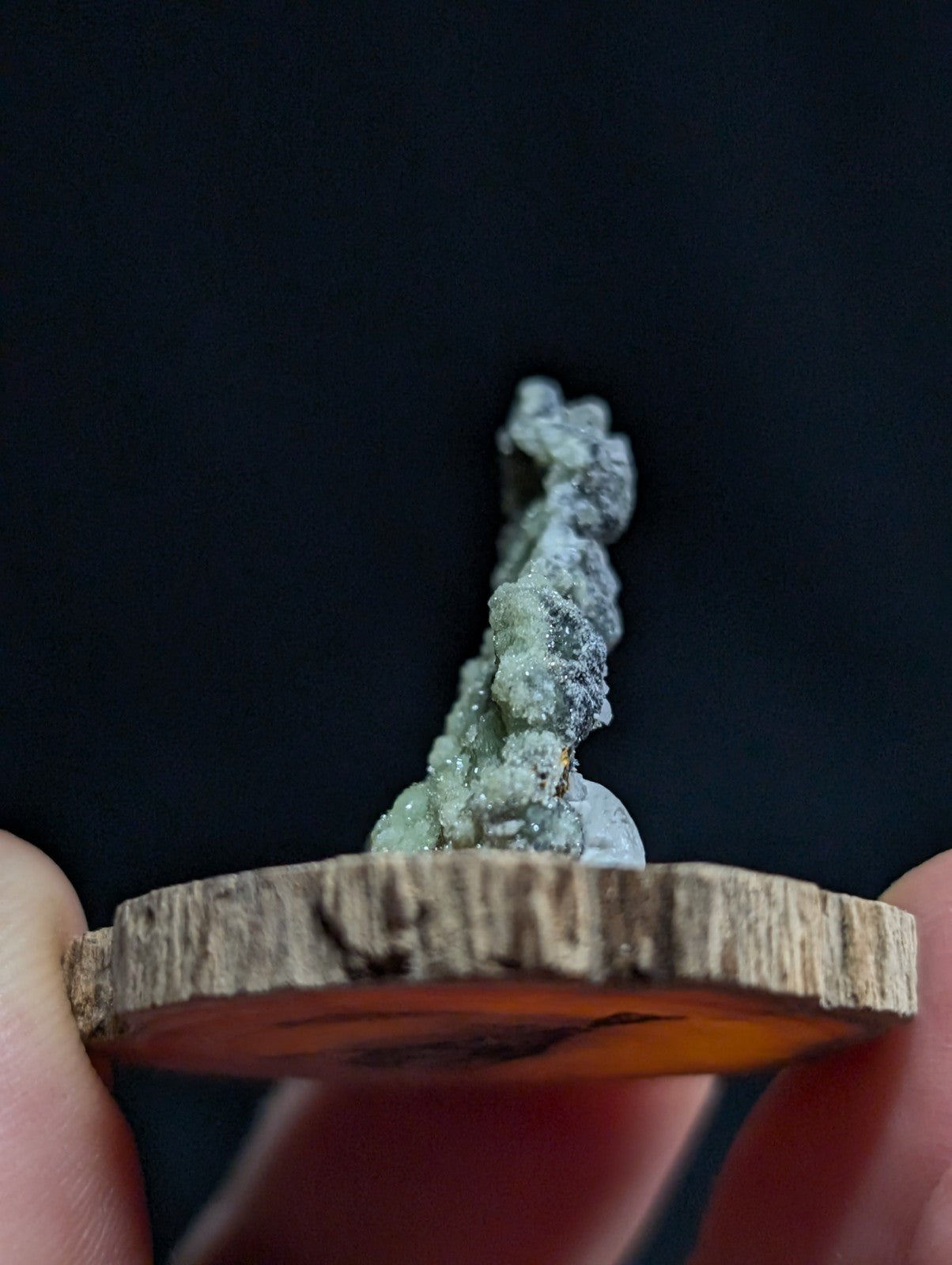 A delicate, pale green mineral specimen with a crystalline, textured surface stands upright on a rustic wooden slice base.