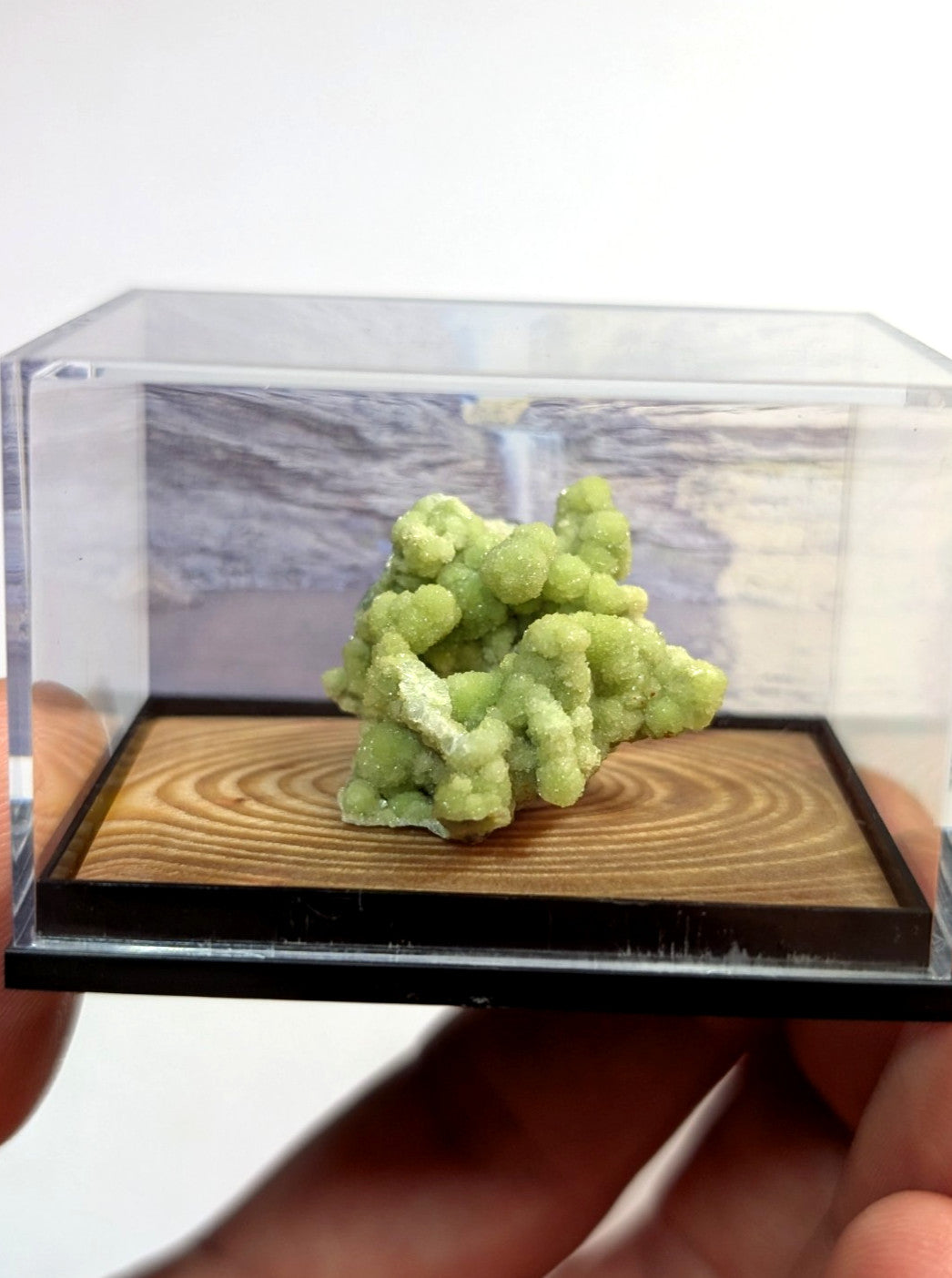 A vibrant green, crystalline mineral specimen displayed in a clear acrylic display case with a wooden base.