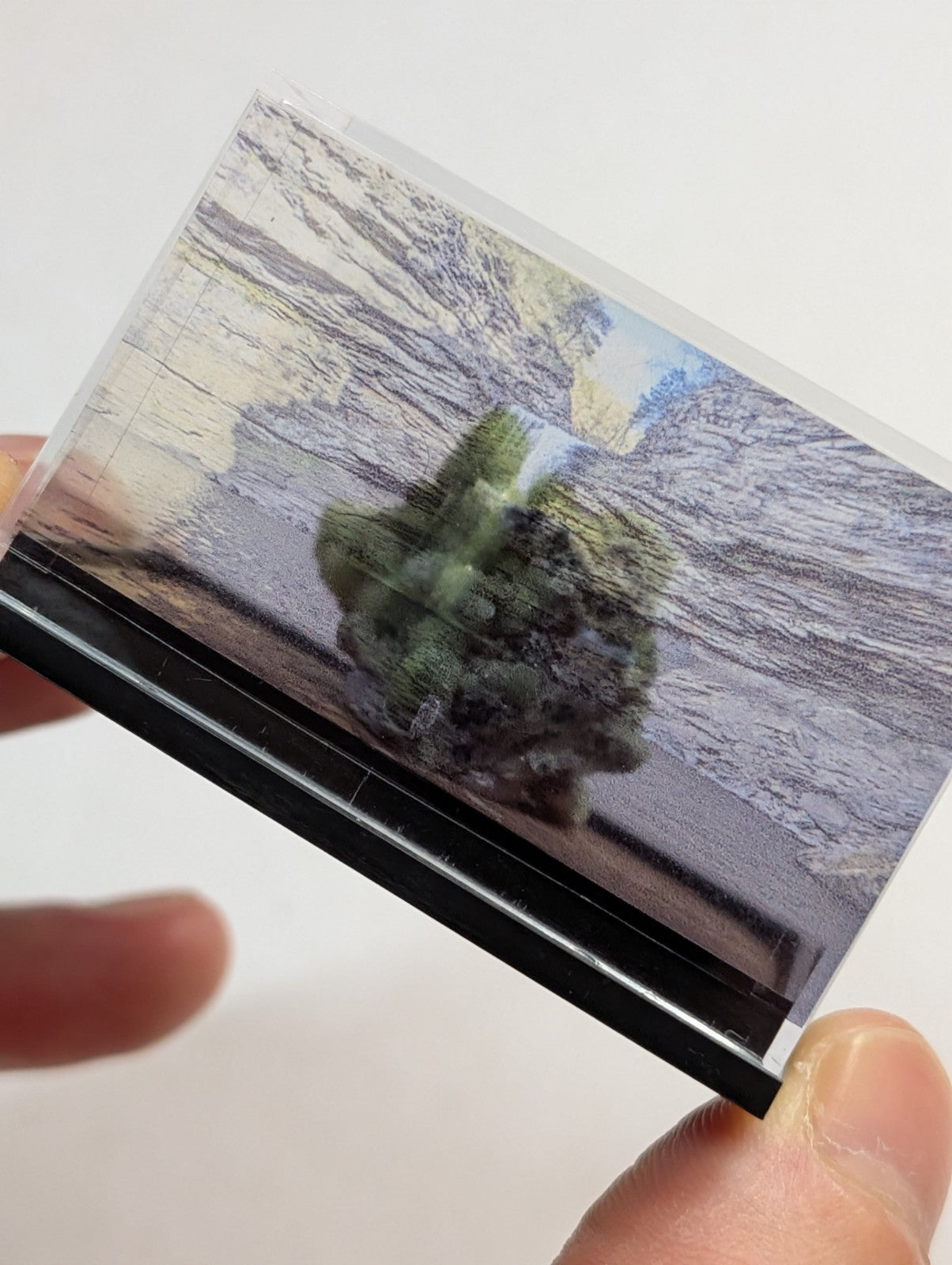 A transparent plastic card holder with a black border, featuring an image of a green cactus against a rocky desert landscape.