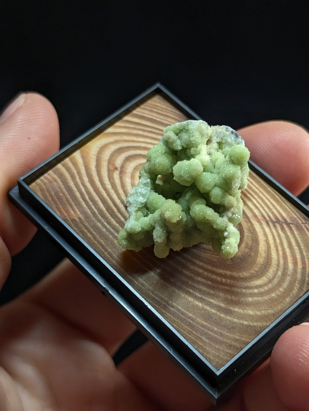 A vibrant green, crystalline mineral specimen with a textured, bumpy surface rests in a square wooden display box.
