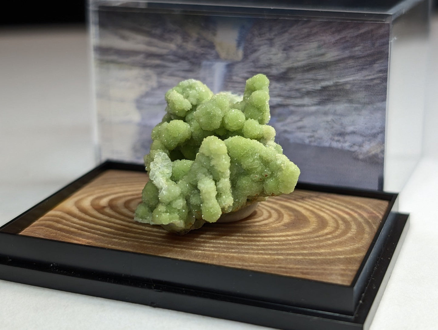 A vibrant green, crystalline mineral specimen displayed in a sleek black and wood-finished presentation box.