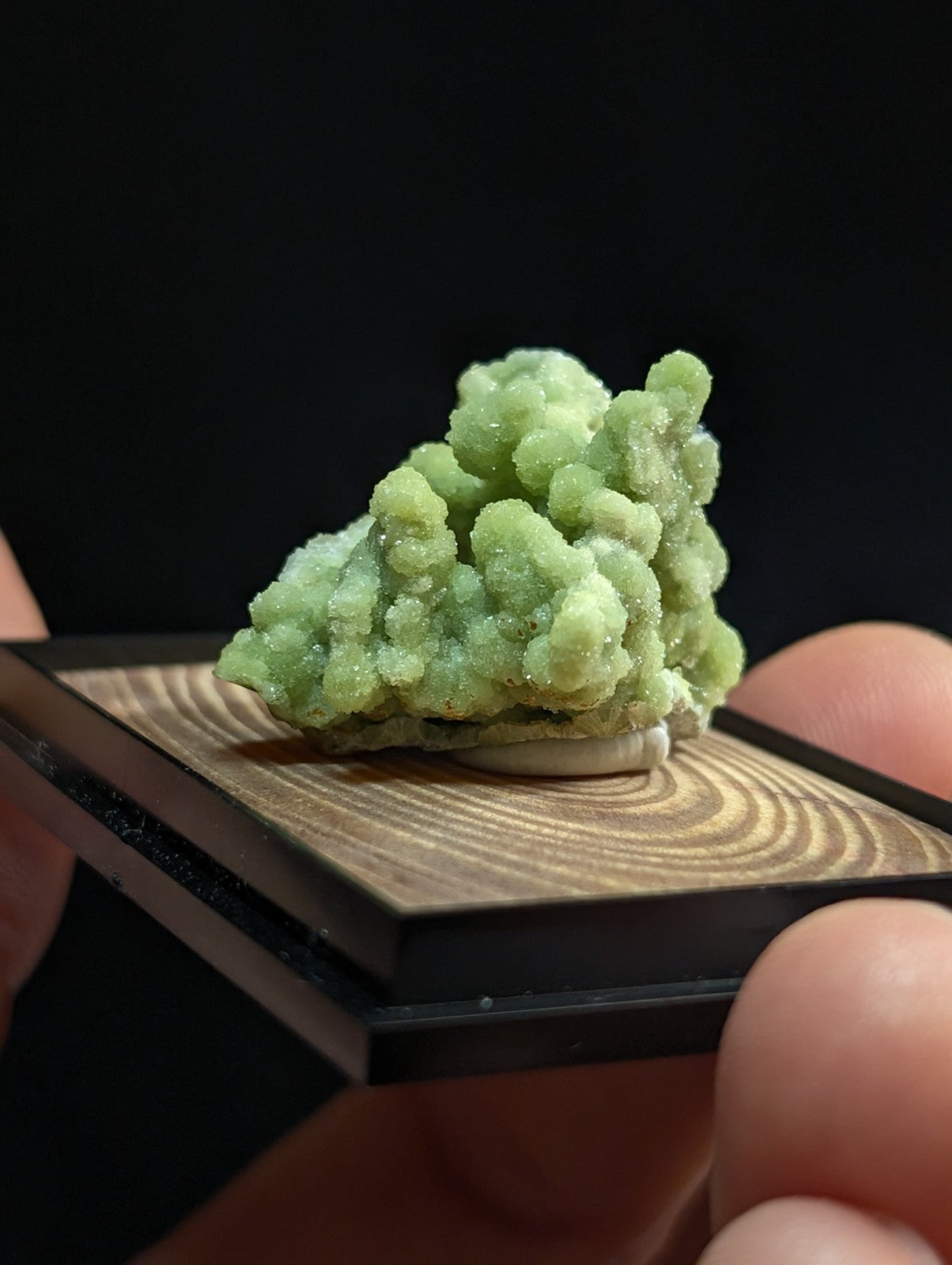 A vibrant green, crystalline mineral specimen with a textured, branching surface.