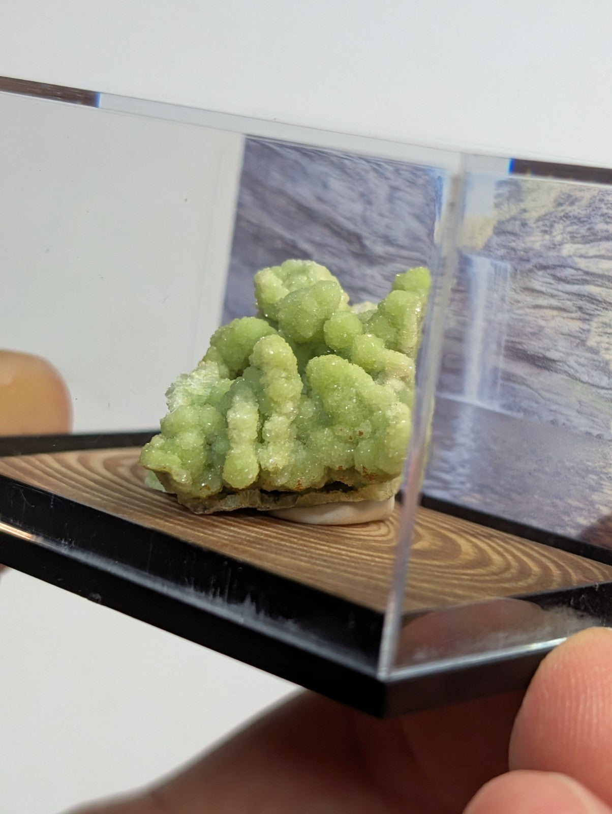 A vibrant green, crystalline mineral specimen displayed in a clear acrylic case with a wooden base.