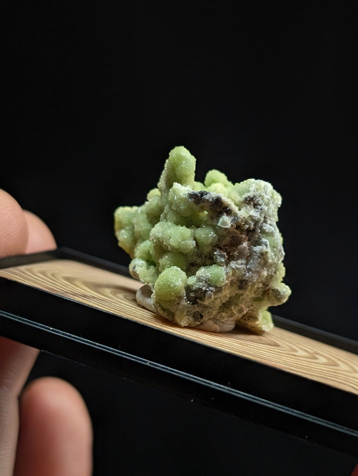 A vibrant green, crystalline mineral specimen with a textured, branching structure and subtle white veining.