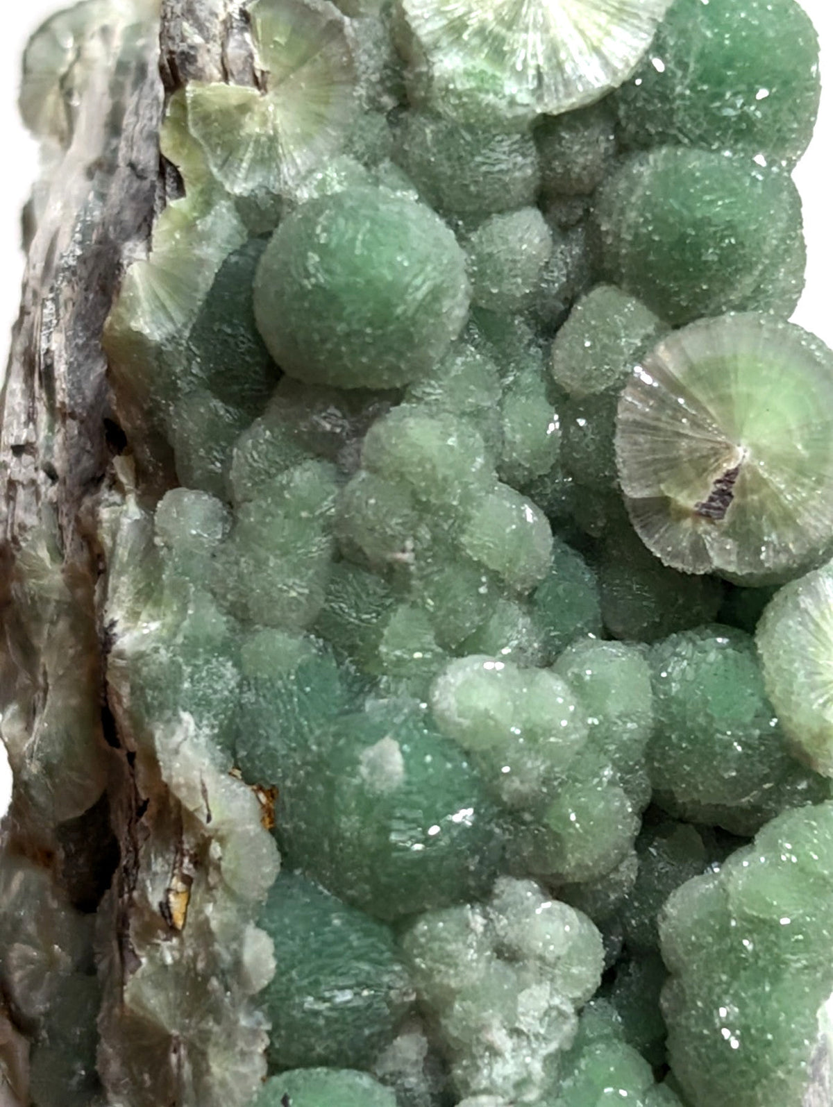 A cluster of translucent green crystals with a glassy sheen, some exhibiting radial patterns and others appearing as rounded globules.