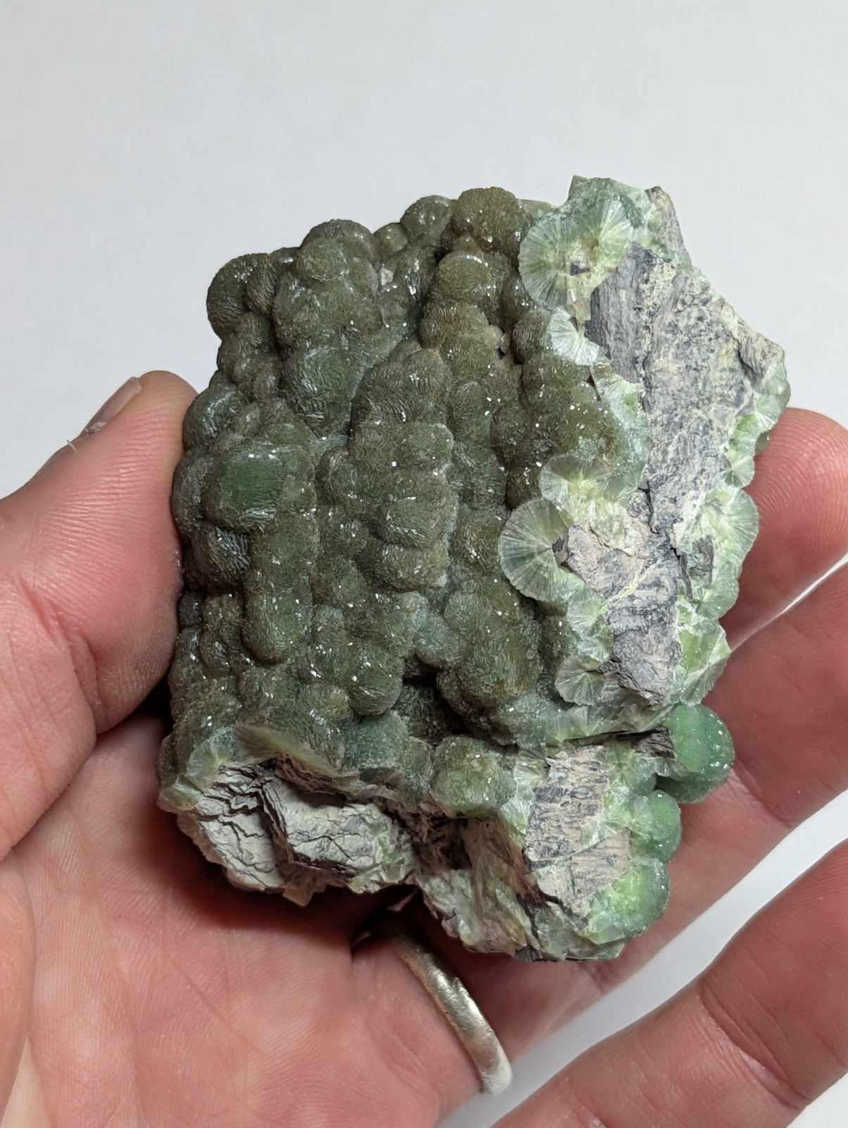 A hand holds a green, bumpy mineral specimen with translucent, rounded crystals and grayish matrix.