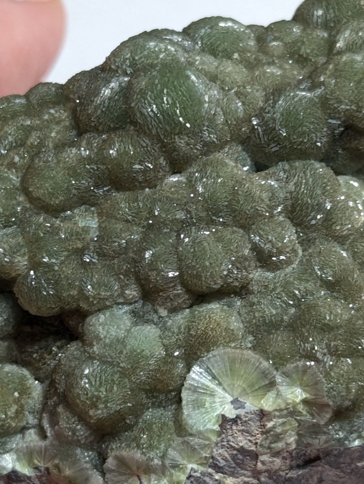 A cluster of green, translucent, bubble-like crystals with a rough, textured surface and some exhibiting fan-shaped growths.