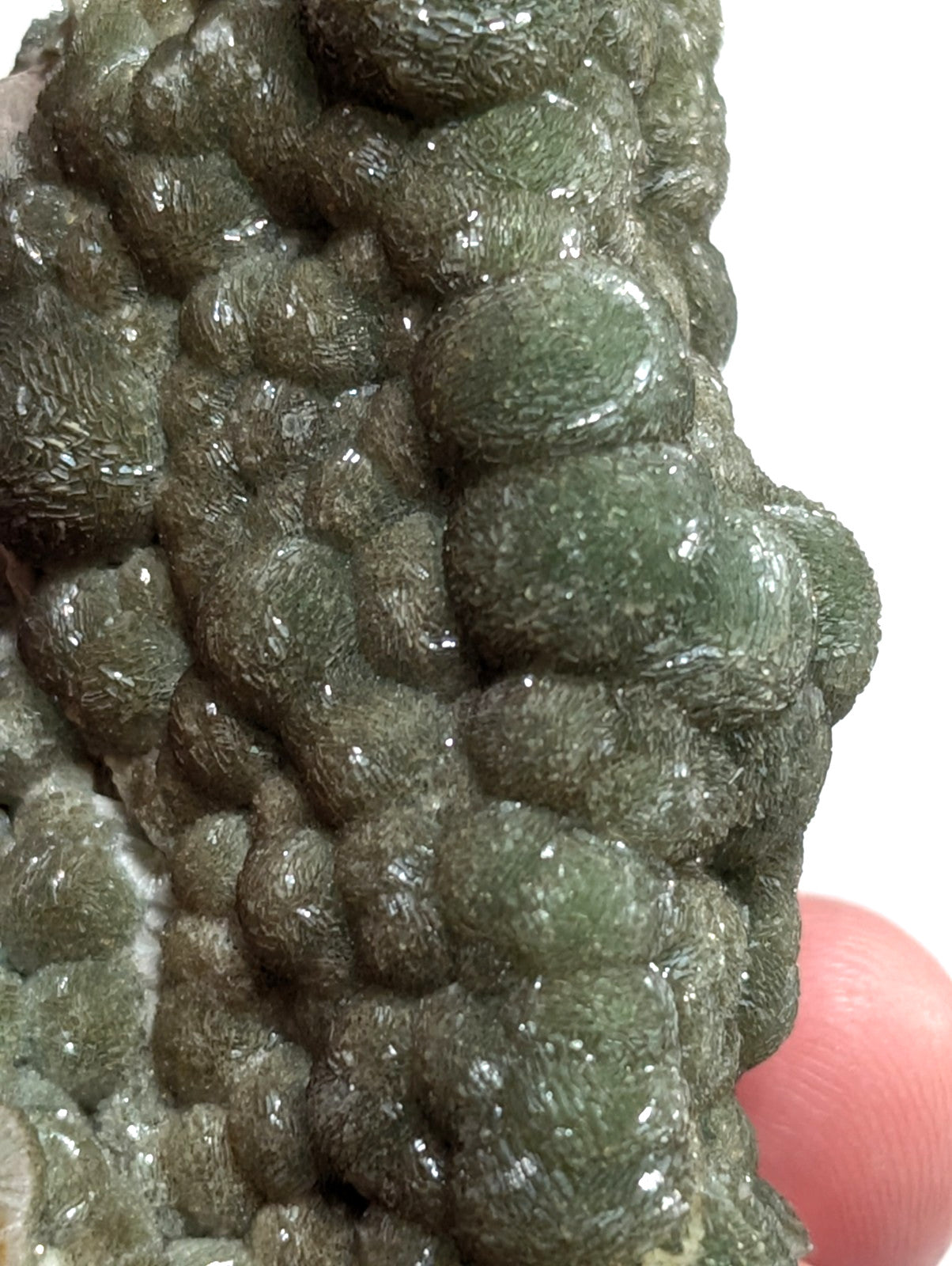 A textured, mossy green mineral specimen with a bumpy, clustered surface and glossy highlights.
