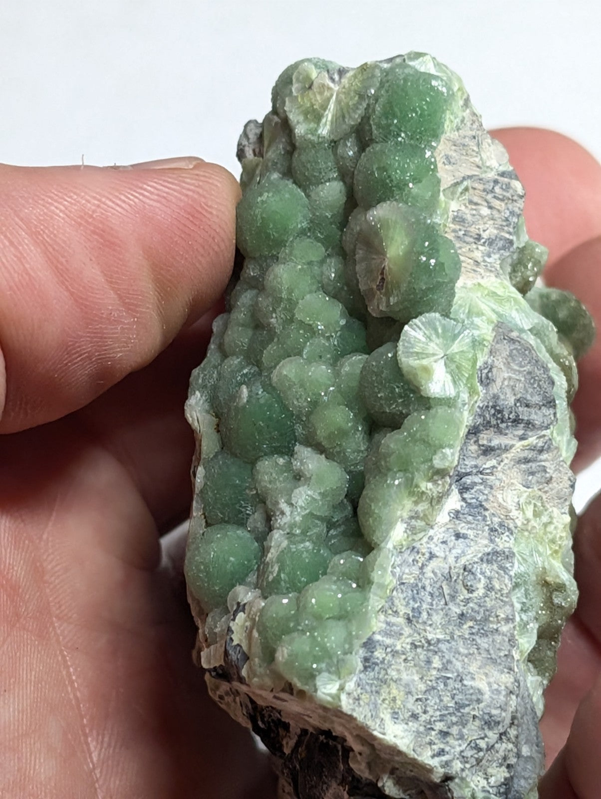 A cluster of translucent green crystals growing from a grayish rock matrix.
