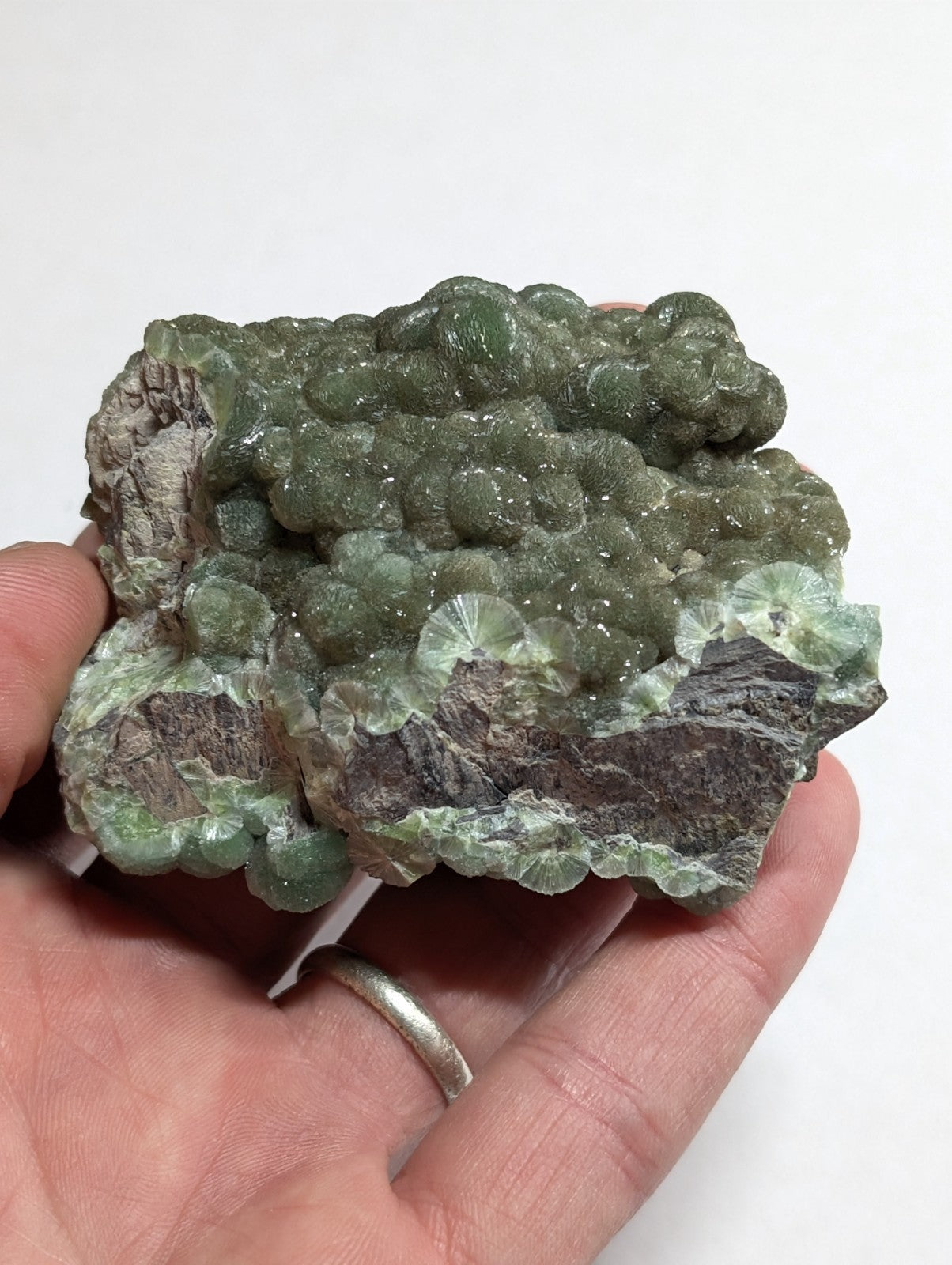 A hand holds a green, translucent mineral specimen featuring clustered, bubble-like crystals with some displaying fan-shaped facets.