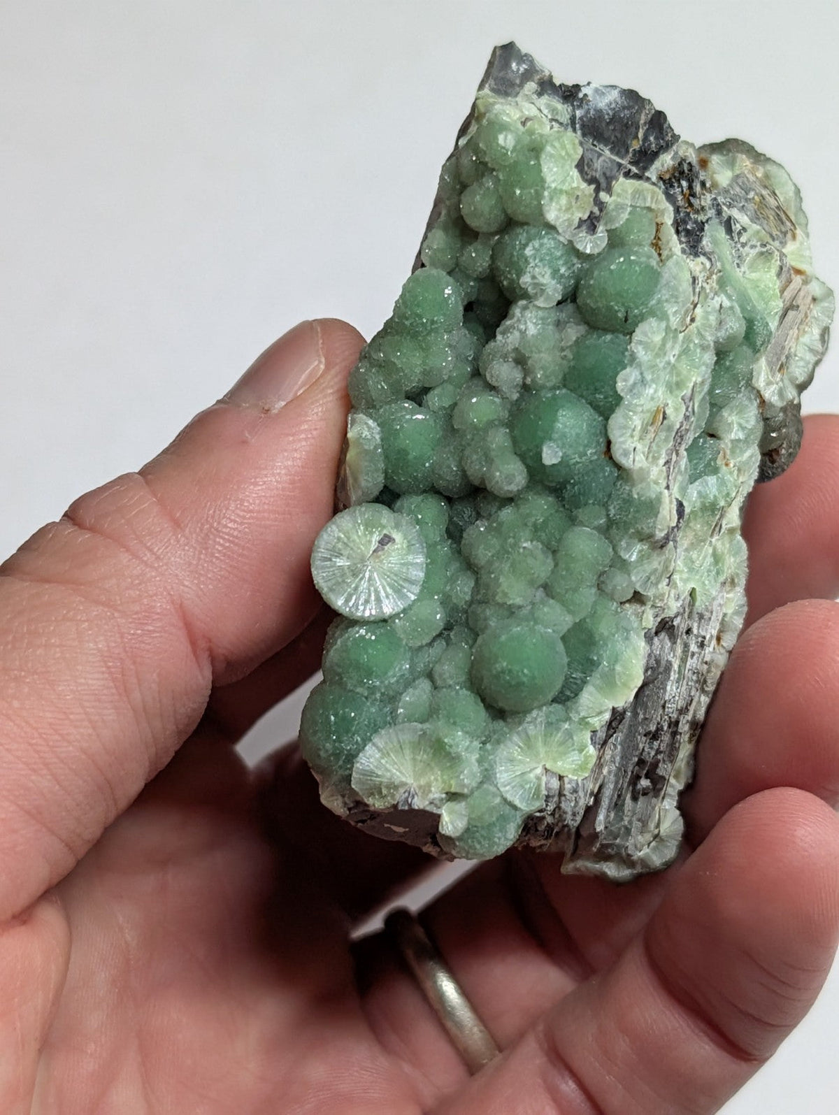 A hand holds a geological specimen featuring clusters of translucent, light green spherical crystals with some displaying delicate fan-like patterns.