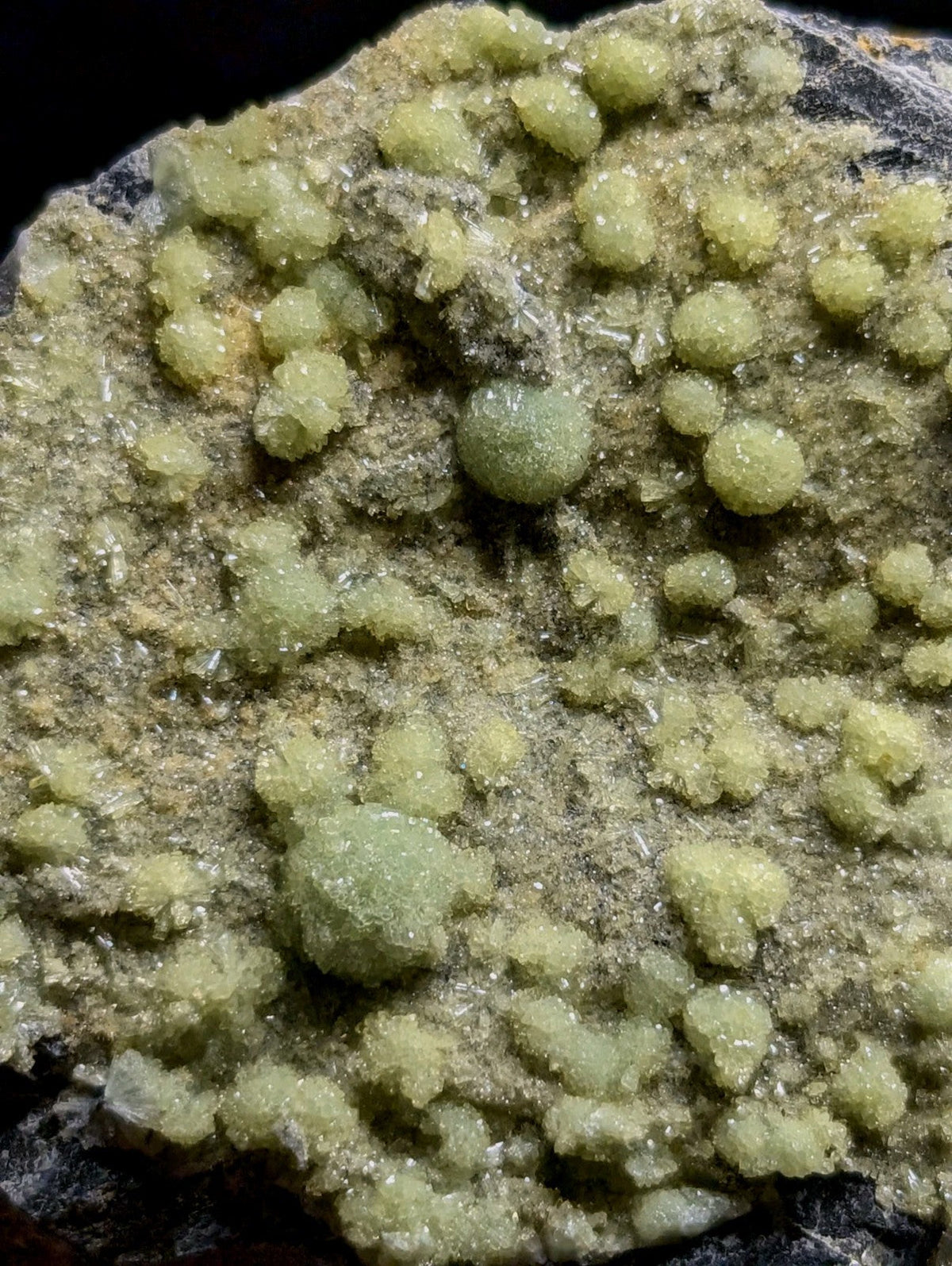 A cluster of translucent, pale green crystalline formations growing from a dark mineral matrix.