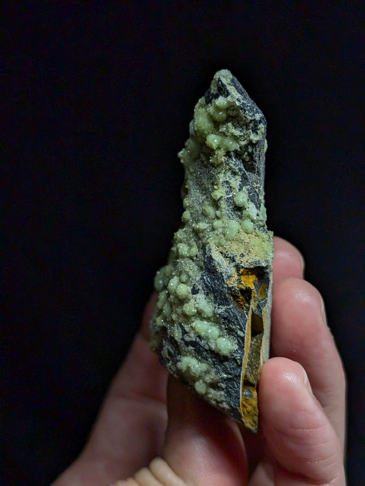 A hand holds a dark, jagged mineral specimen featuring clusters of light green, rounded crystals growing over its surface.