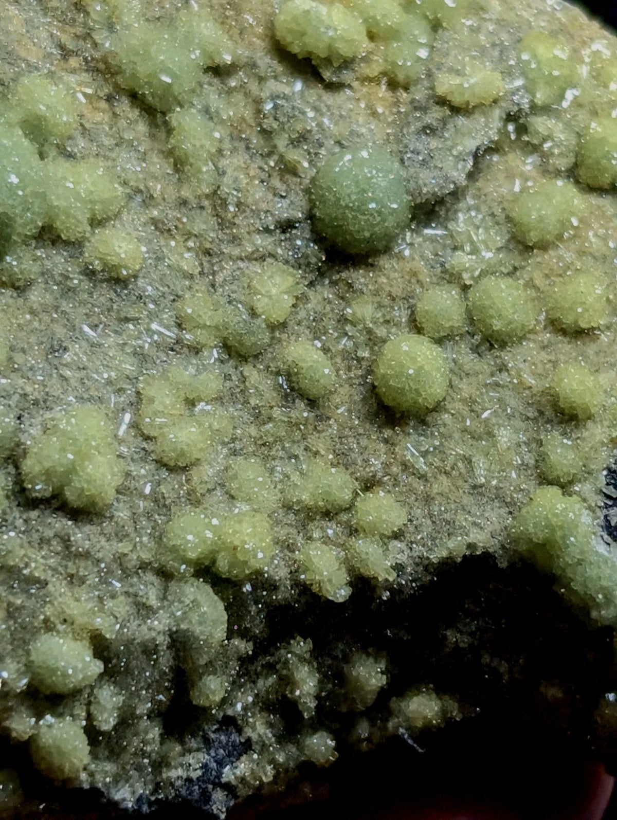 A cluster of translucent, pale green crystalline formations growing from a rough, earthy matrix.