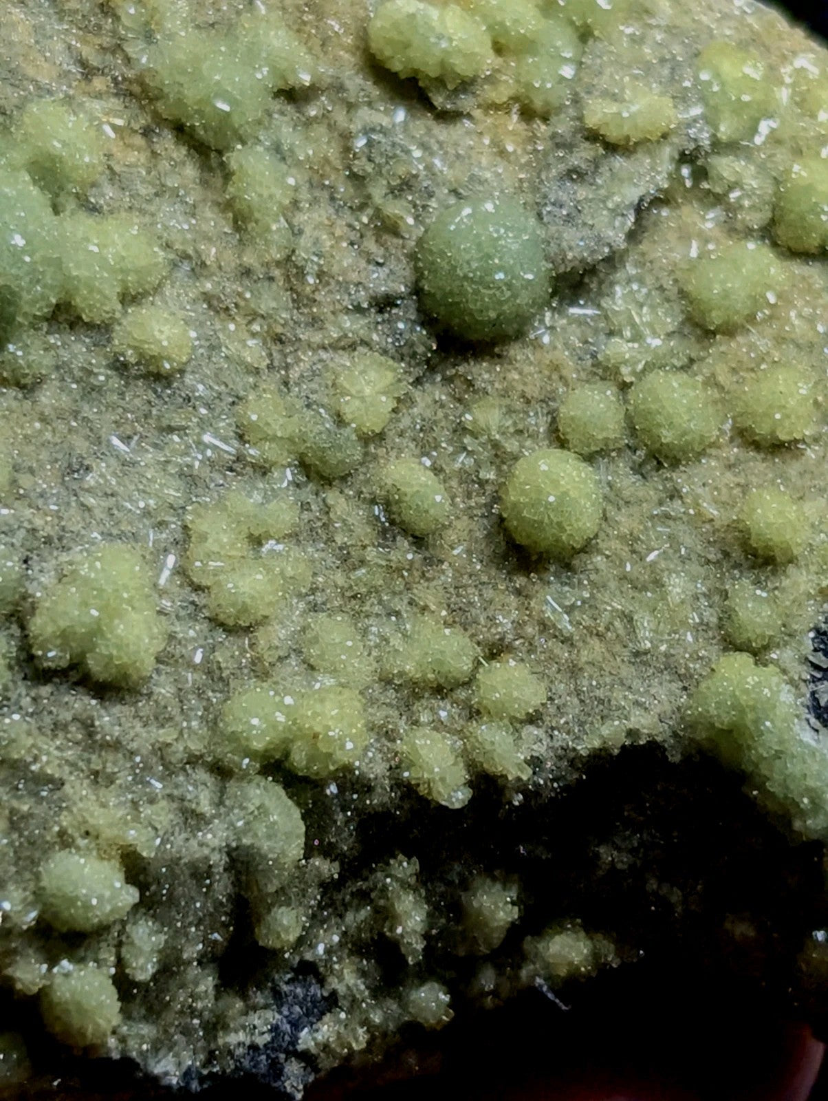 A cluster of translucent, pale green crystalline formations growing from a rough, earthy matrix.