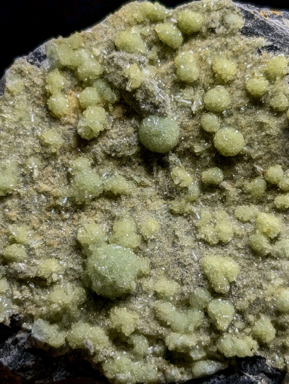 A cluster of translucent, pale green crystalline formations growing from a dark mineral matrix.