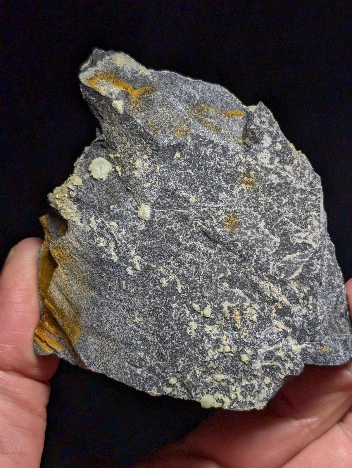 A rugged, gray rock specimen with speckled white and yellow mineral inclusions.