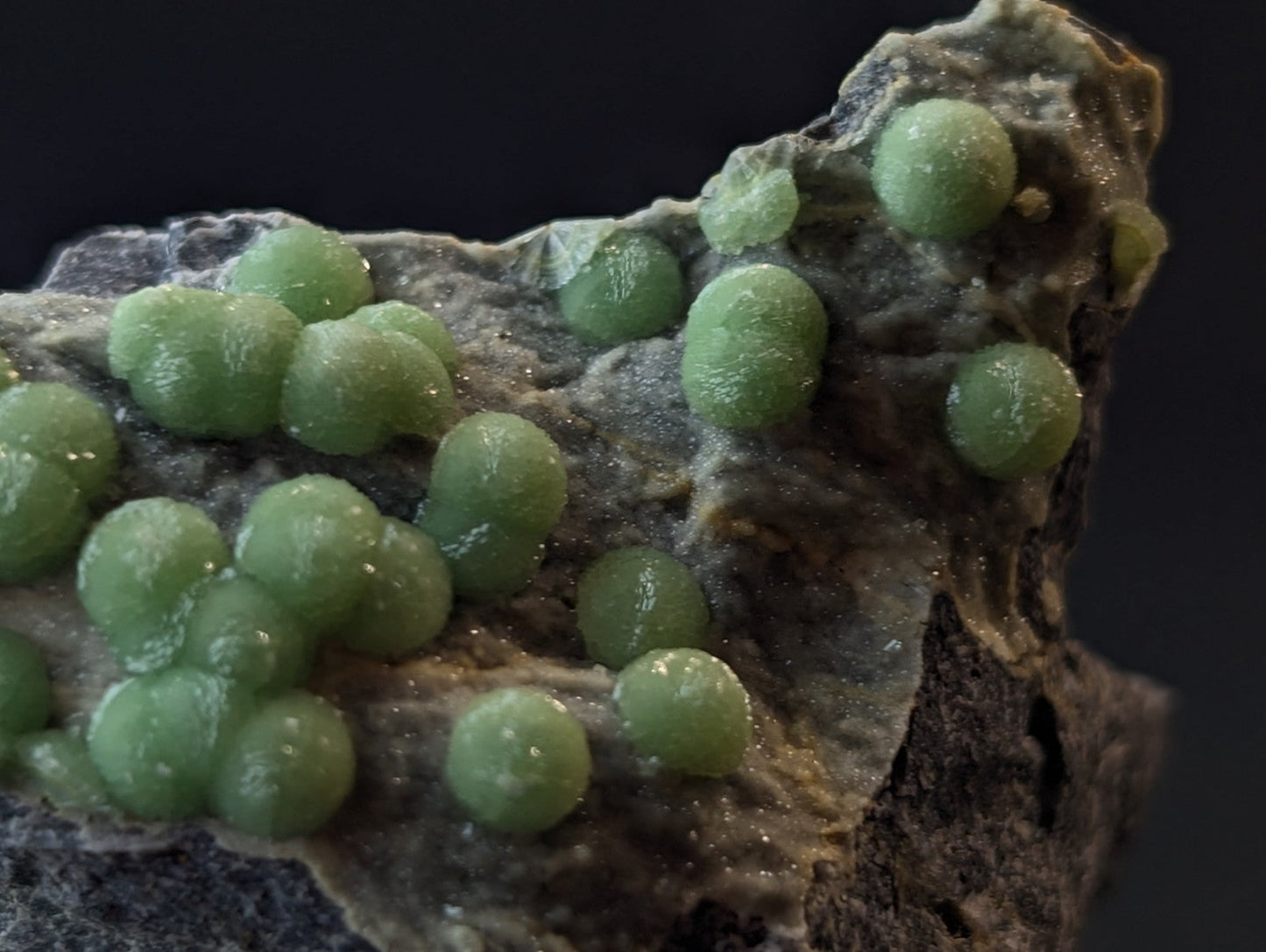 Green, translucent spherical crystals embedded in a rough, dark gray rock matrix.
