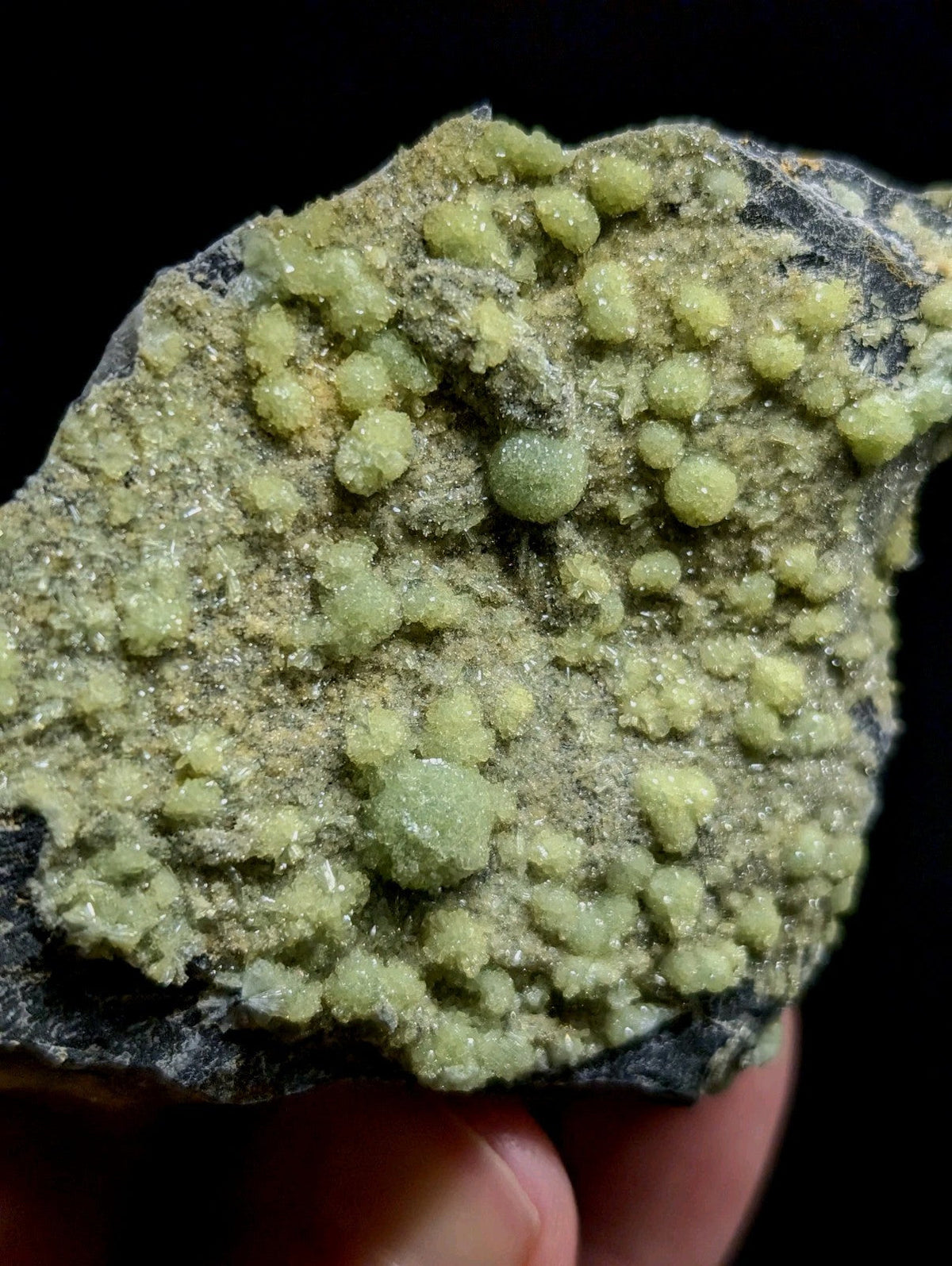 A cluster of pale green, spherical crystals growing on a dark gray rock surface.