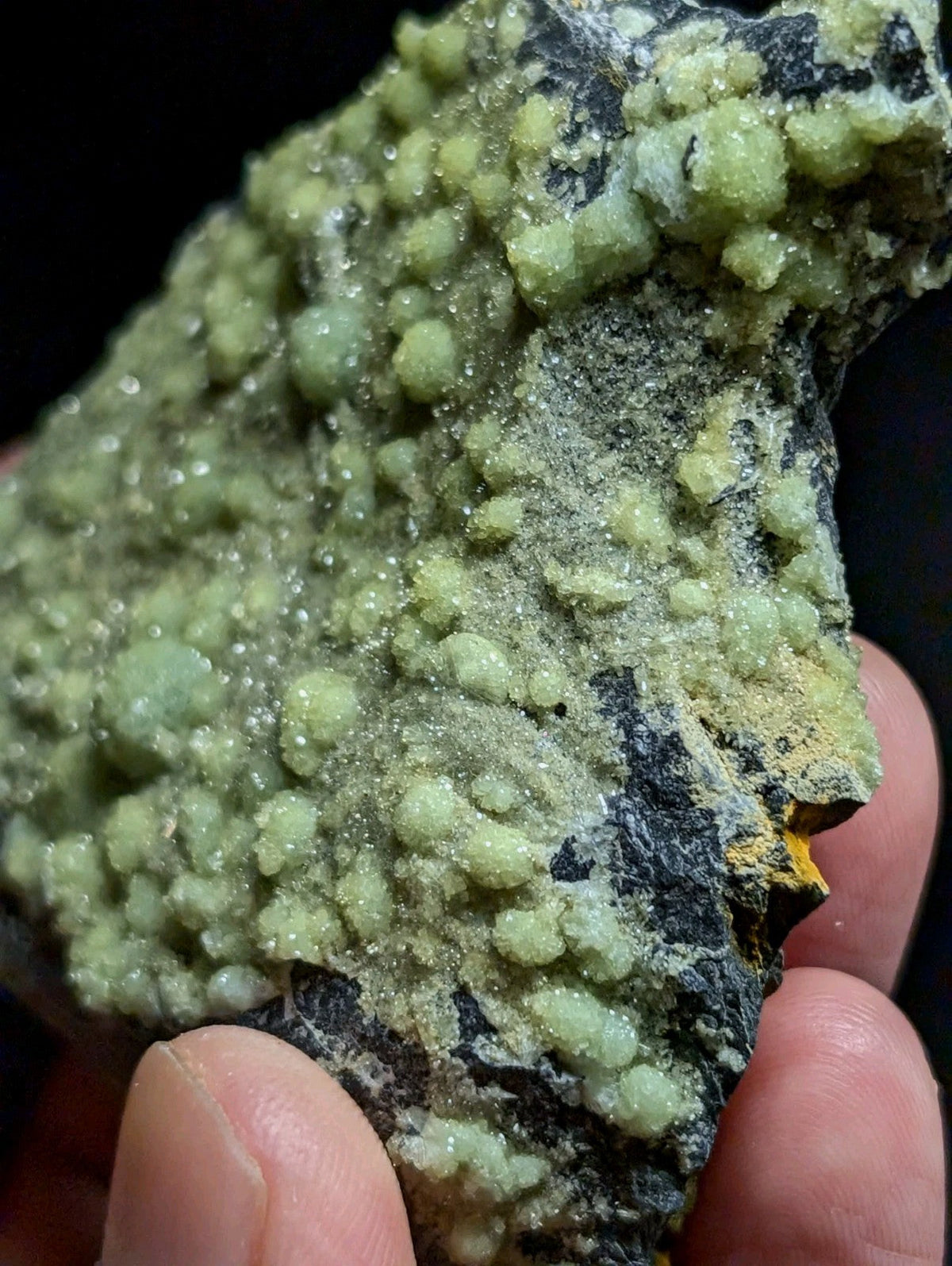 A green, crystalline mineral specimen with rounded, bead-like formations growing from a dark matrix.