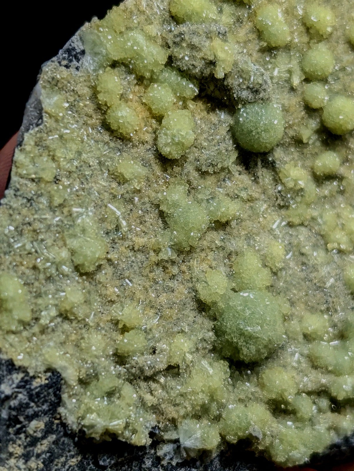 A cluster of translucent, pale green crystalline formations growing from a dark gray rock matrix.
